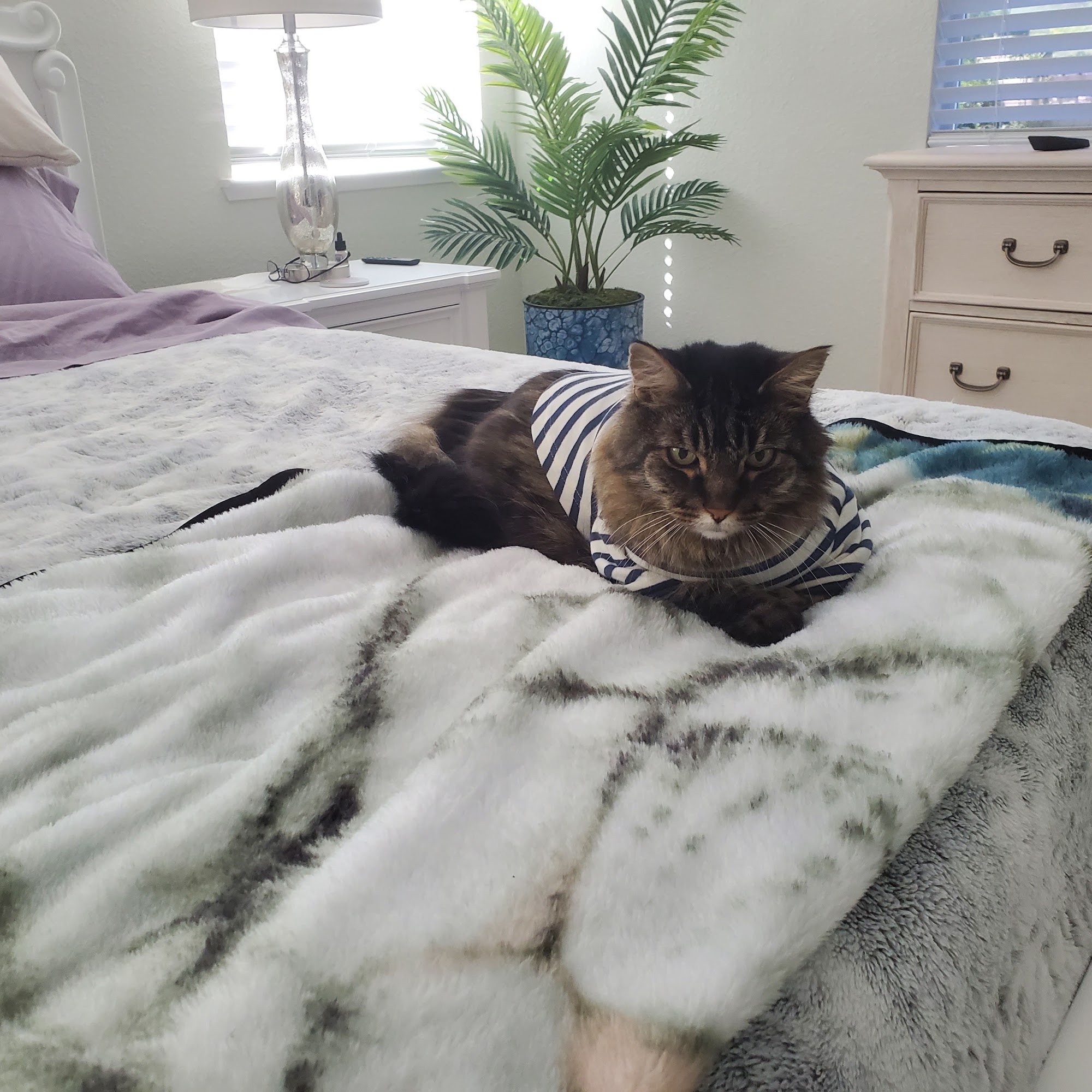 Vaca Valley Veterinary Hospital Vacaville