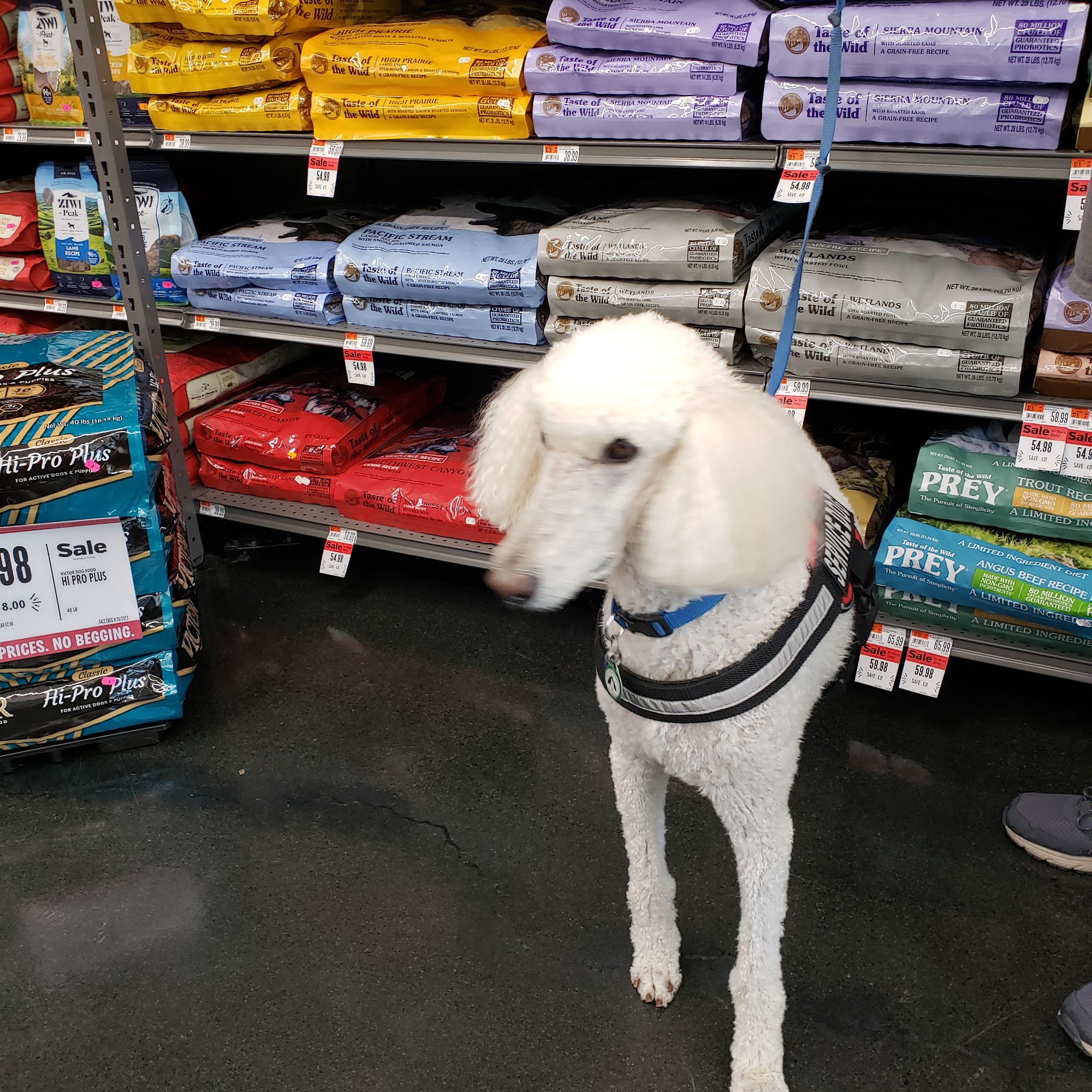 Pet Supplies Plus Vacaville Vacaville