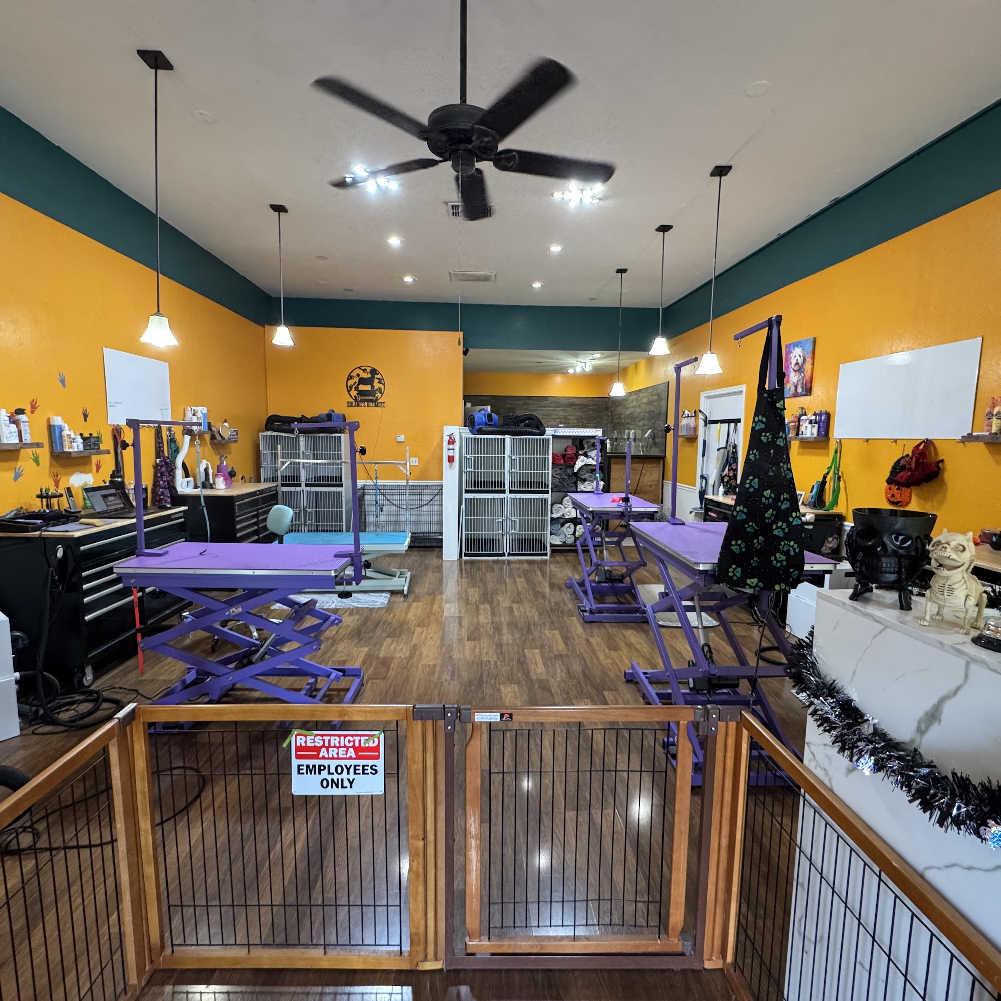 Solano's Ultimutt Grooming Vacaville