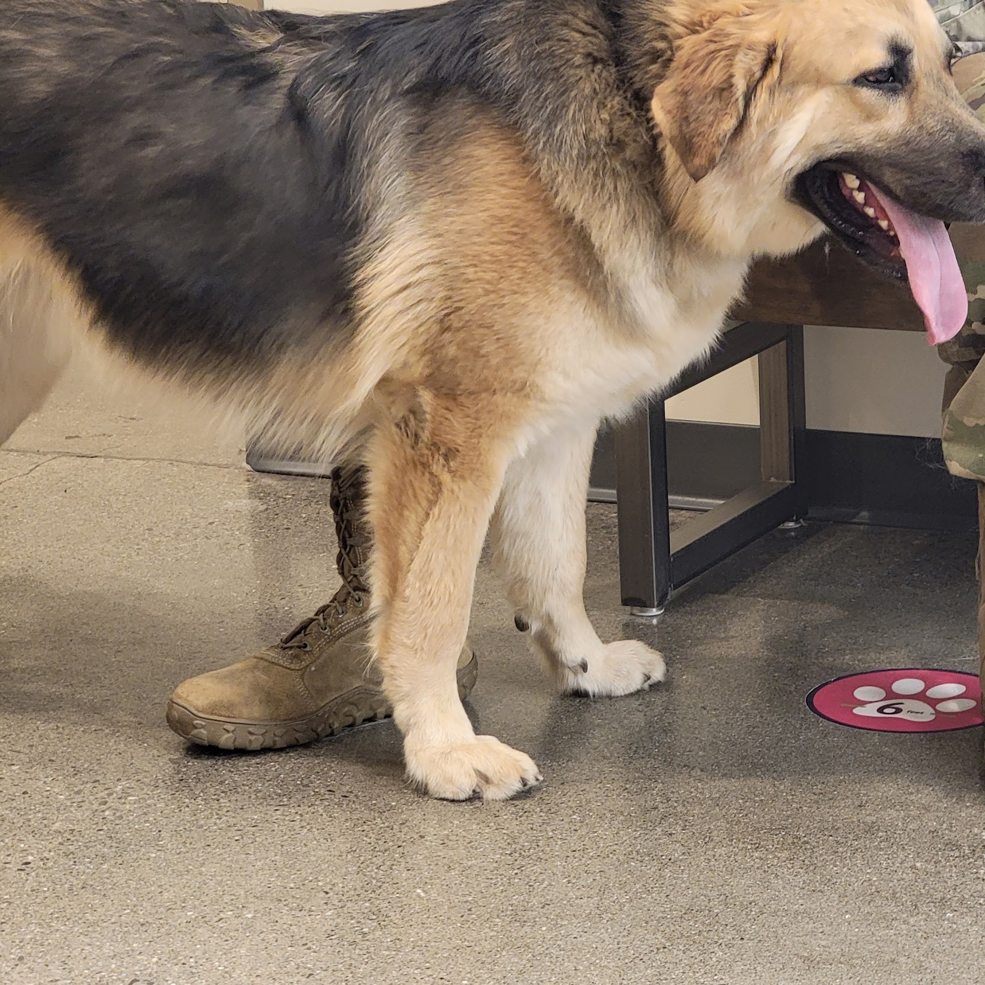 Vetco Total Care Animal Hospital Vacaville