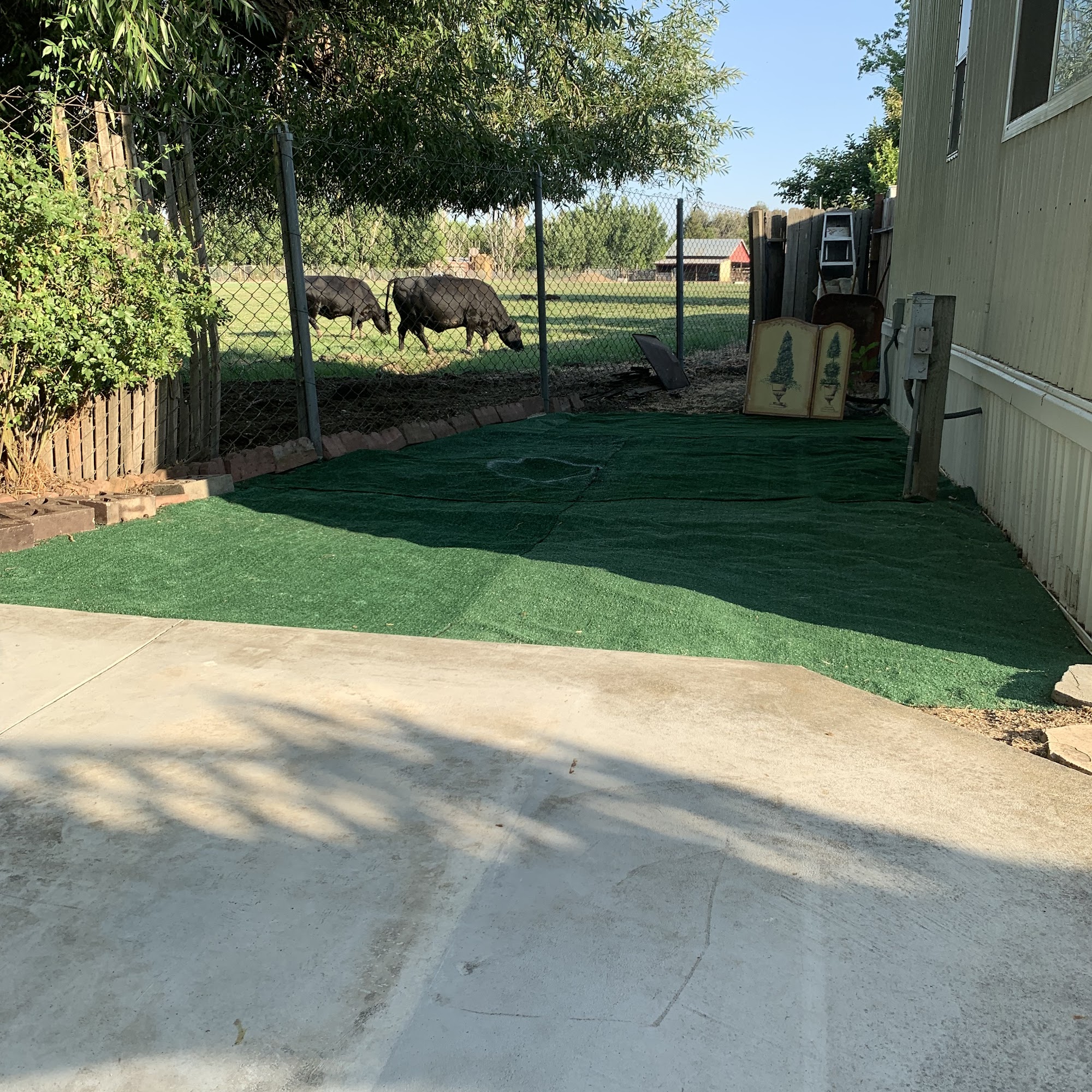 Mike’s Grooming Vacaville