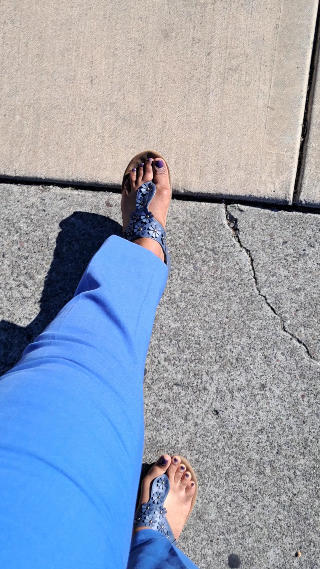 Royal Jelly Doughnut Menu