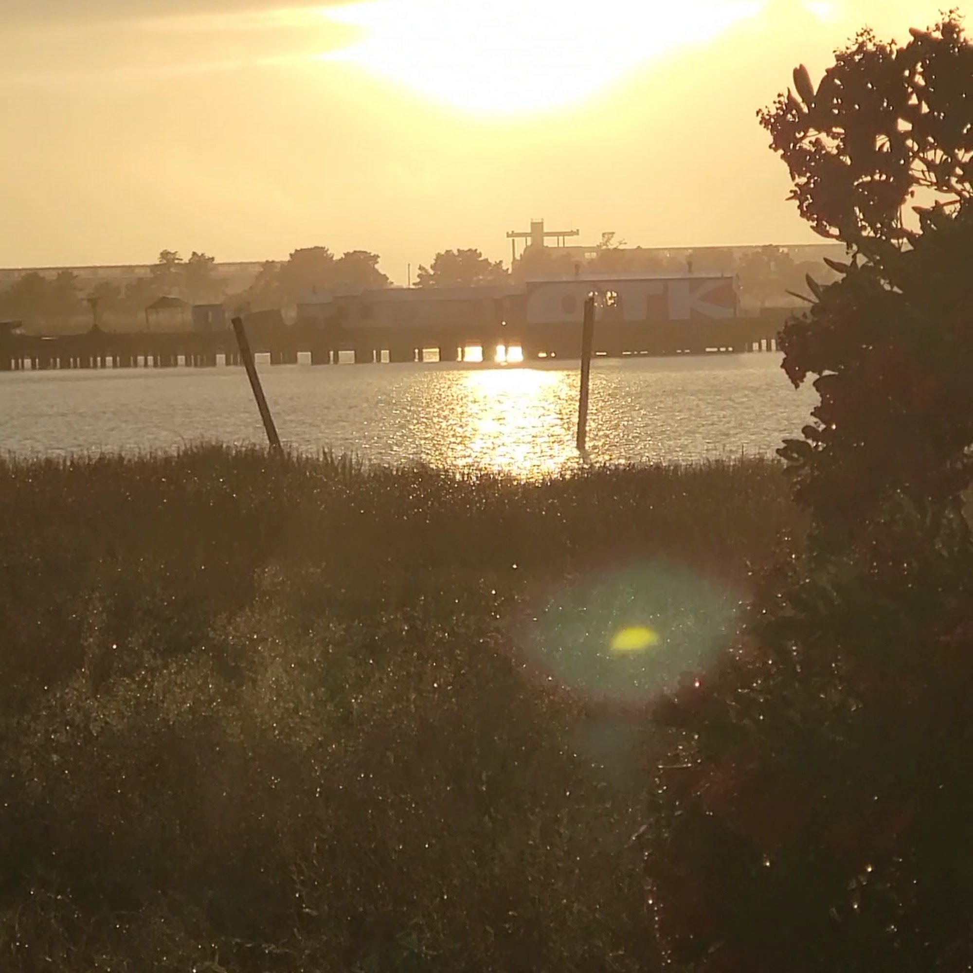 Sunshine Smoothies & Coffee Vallejo
