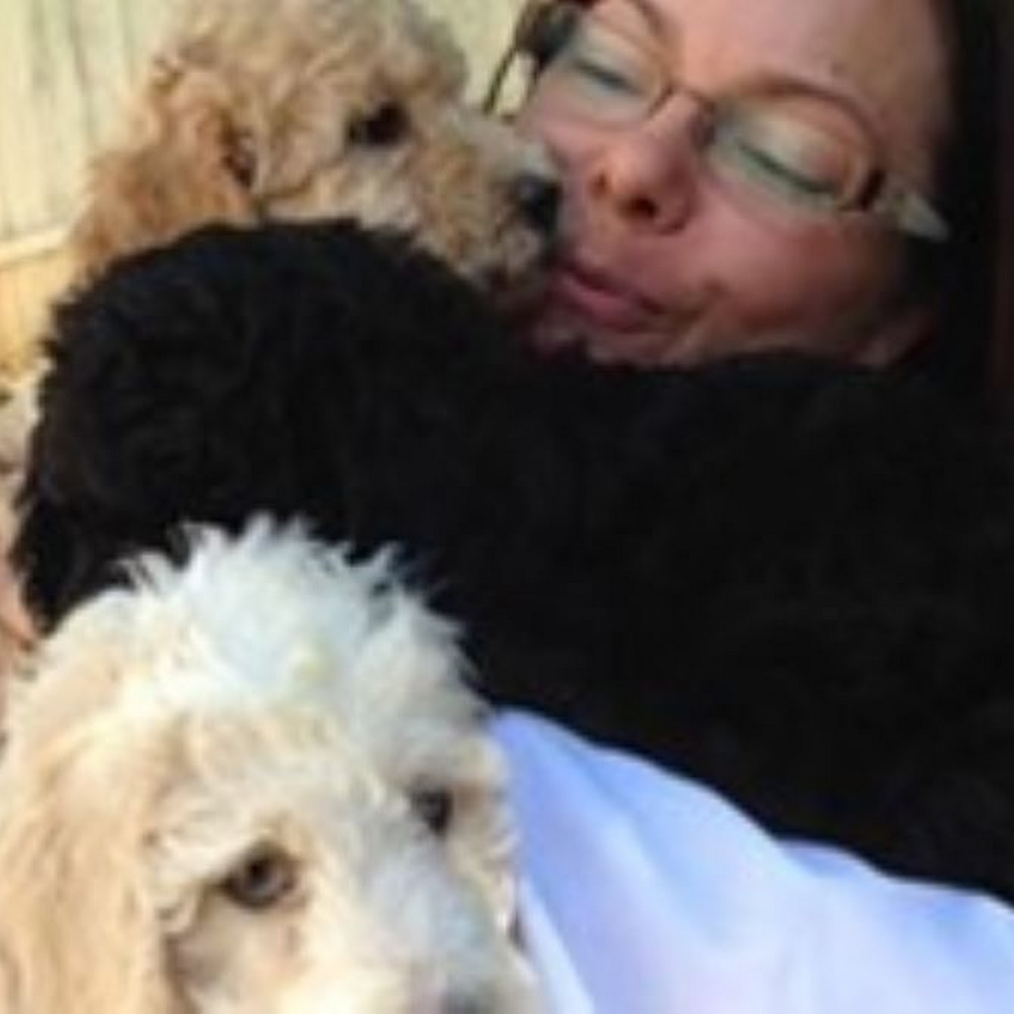 Valley Center Veterinary Clinic Valley Center