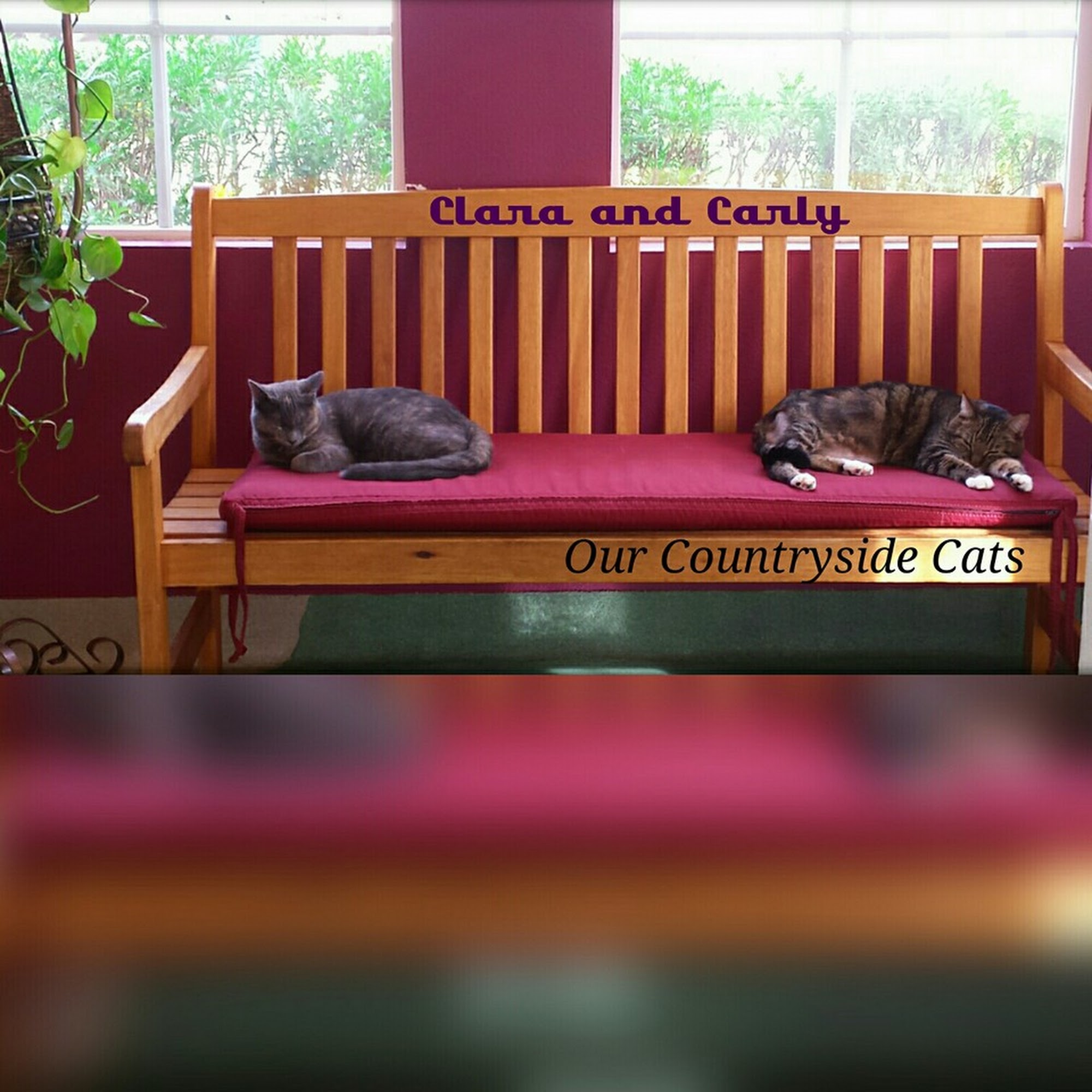 Countryside Veterinary Hospital Valley Center