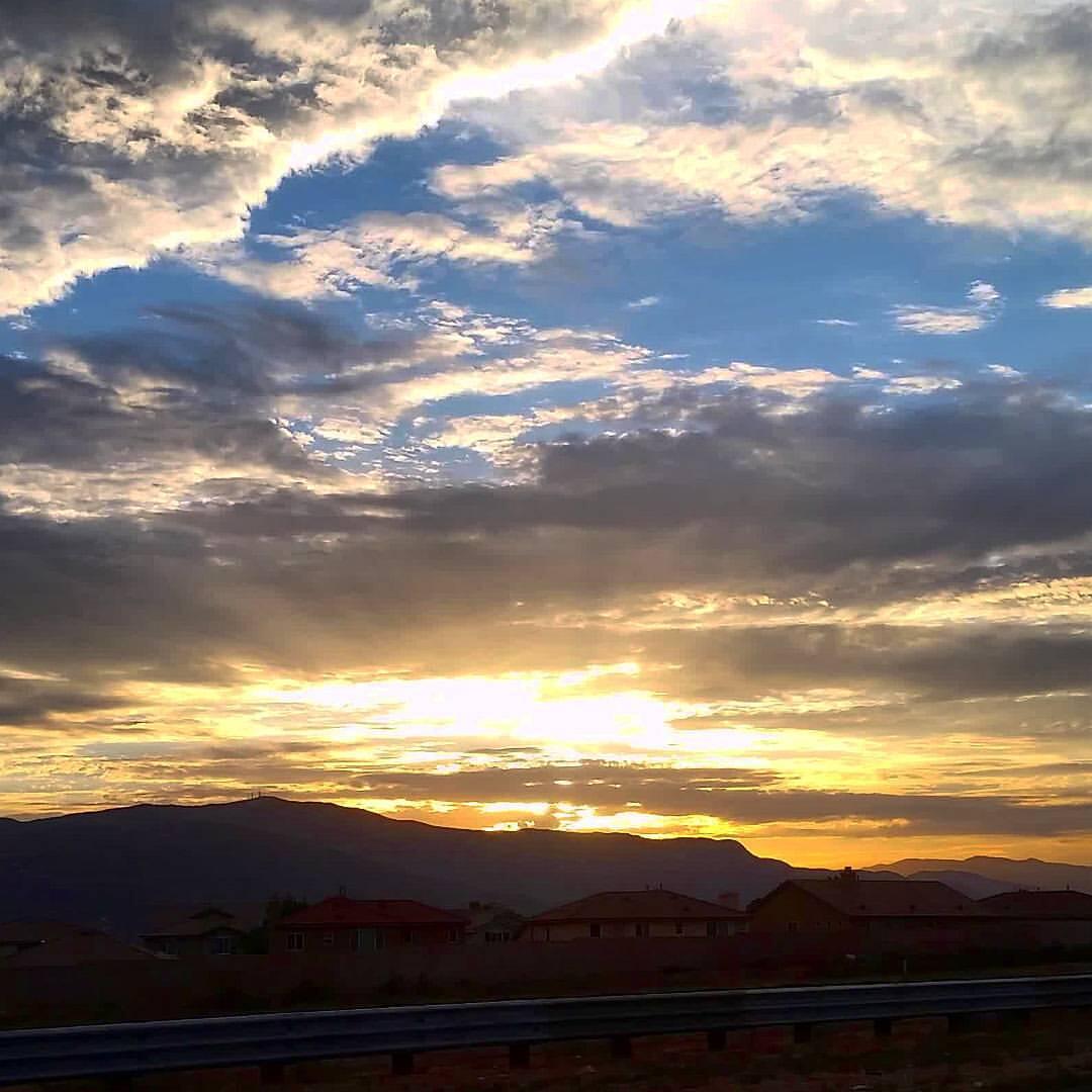 One of a Kind Bulldogs Valley Center