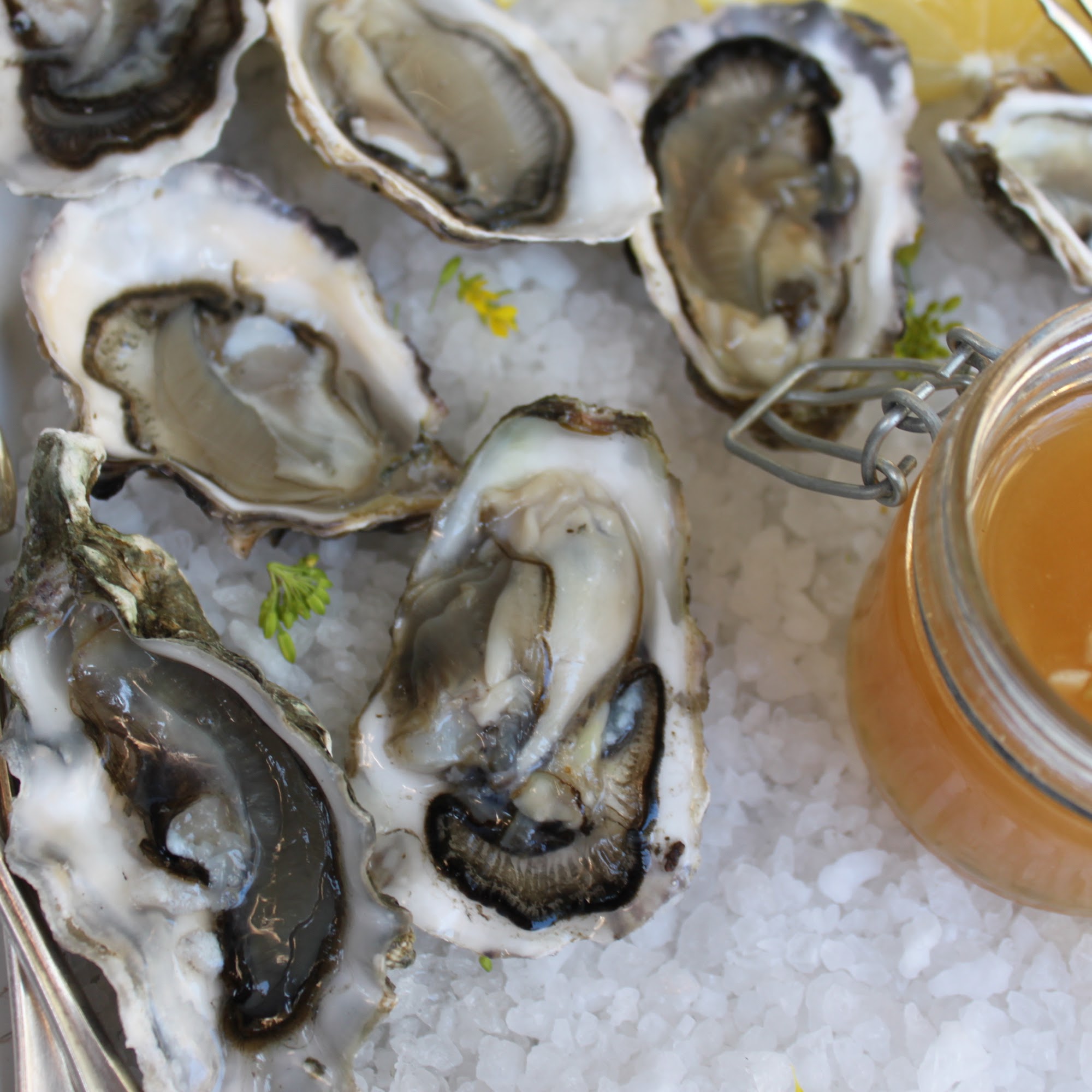 Rocker Oysterfeller's Kitchen + Saloon Valley Ford