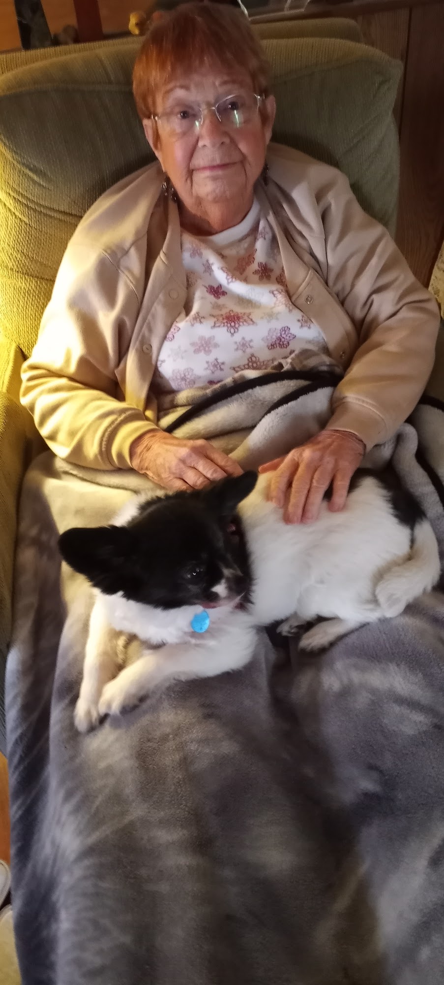 Grateful Pets Valley Ford