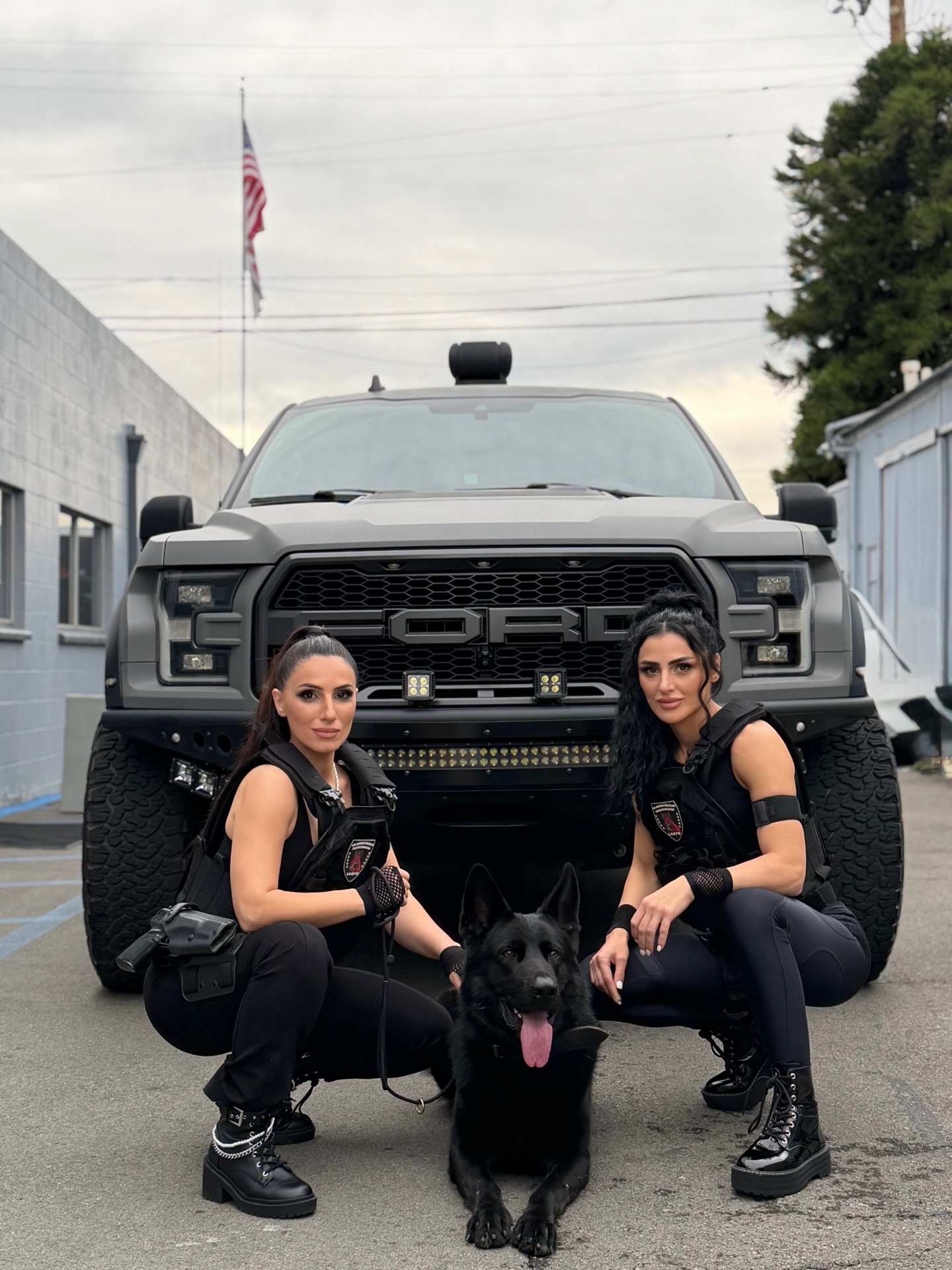 Delta K9 Academy Valley Glen