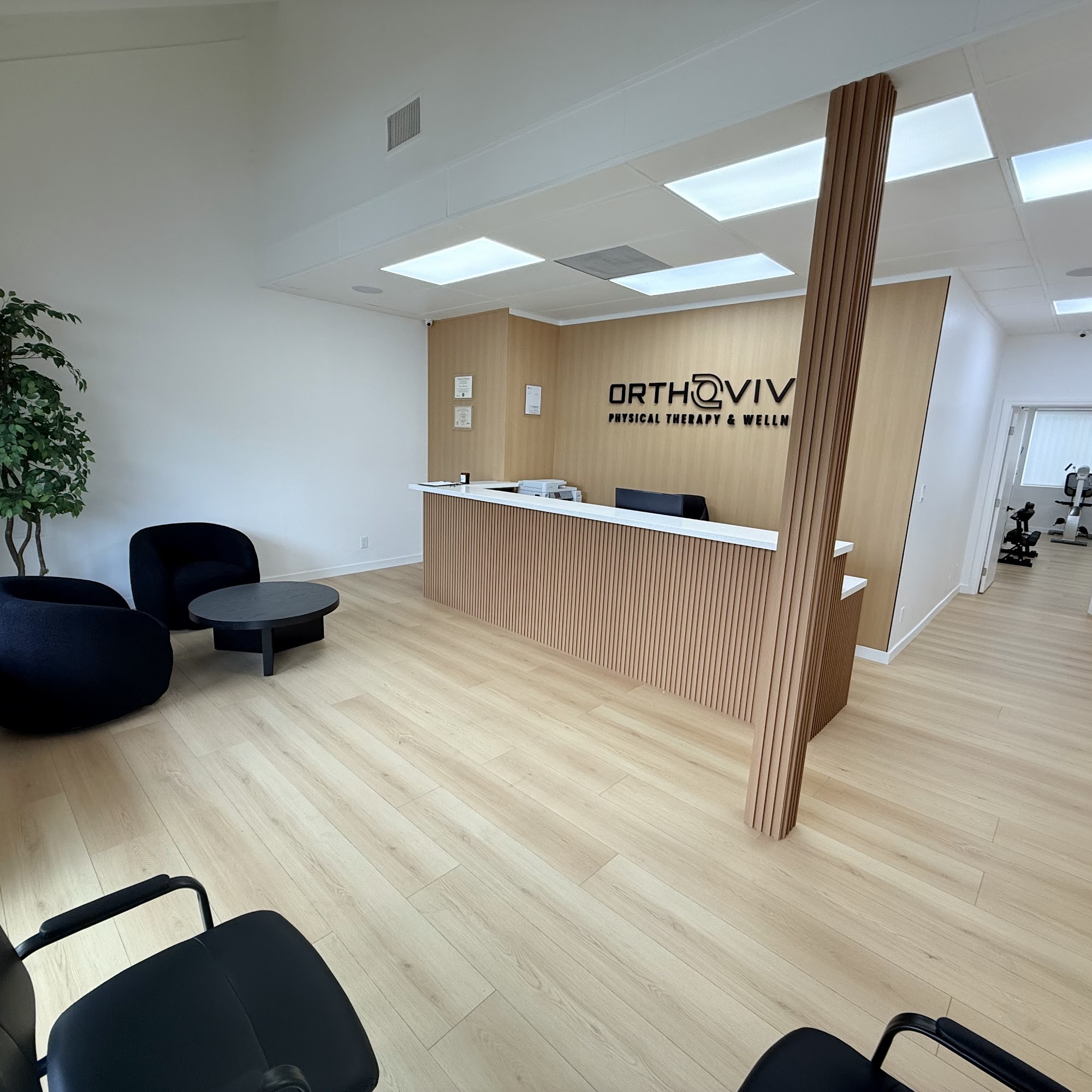 OrthoVive Physical Therapy & Wellness