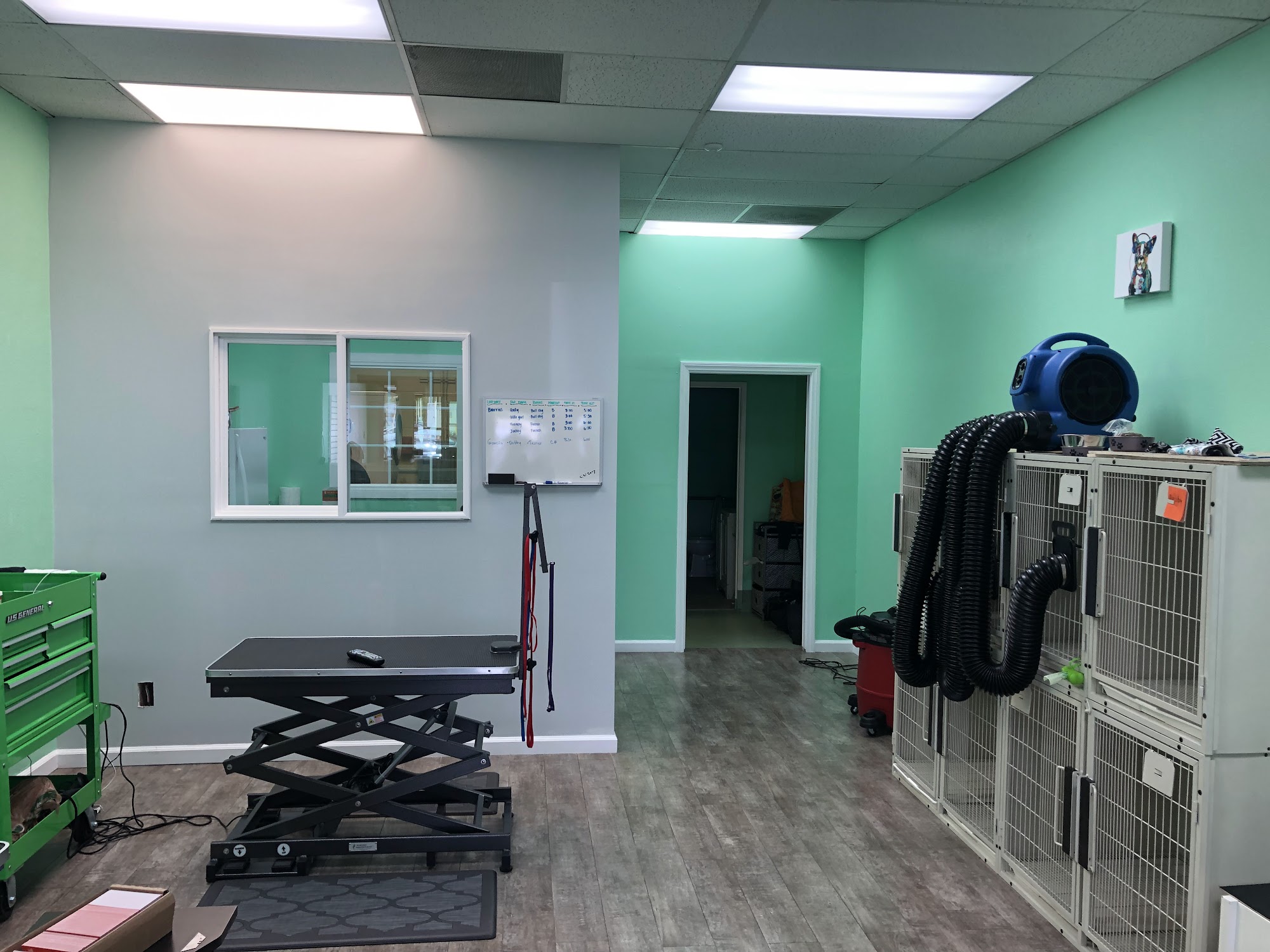 Benji’s Dog Grooming Van Nuys