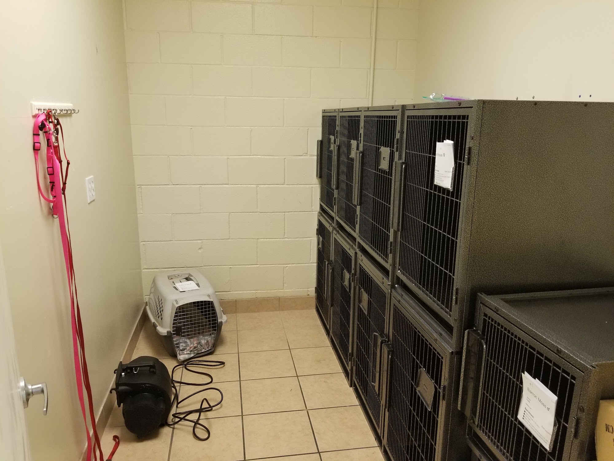 Wash My Dog Van Nuys LLC Van Nuys