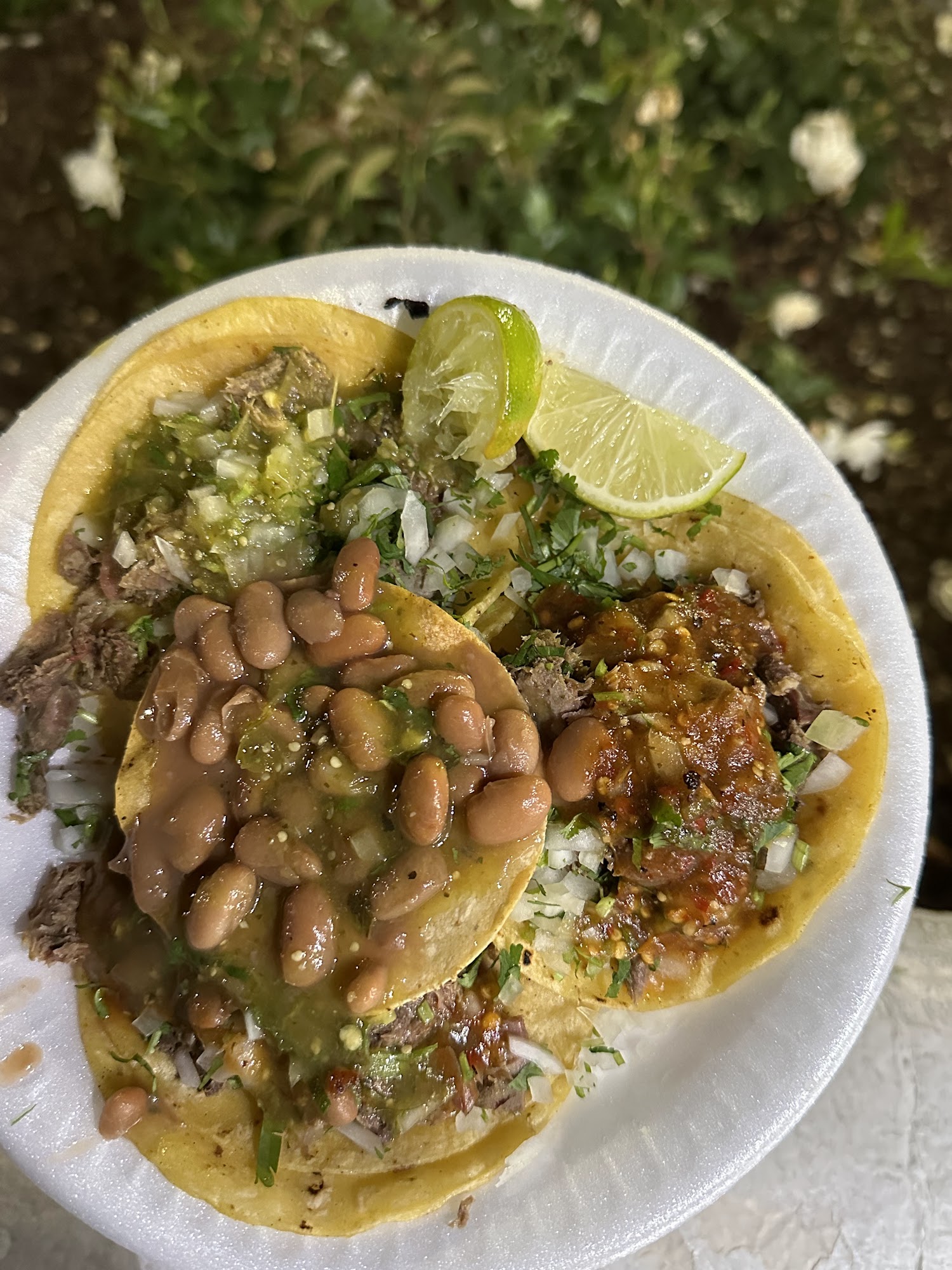 El Señor de los tacos