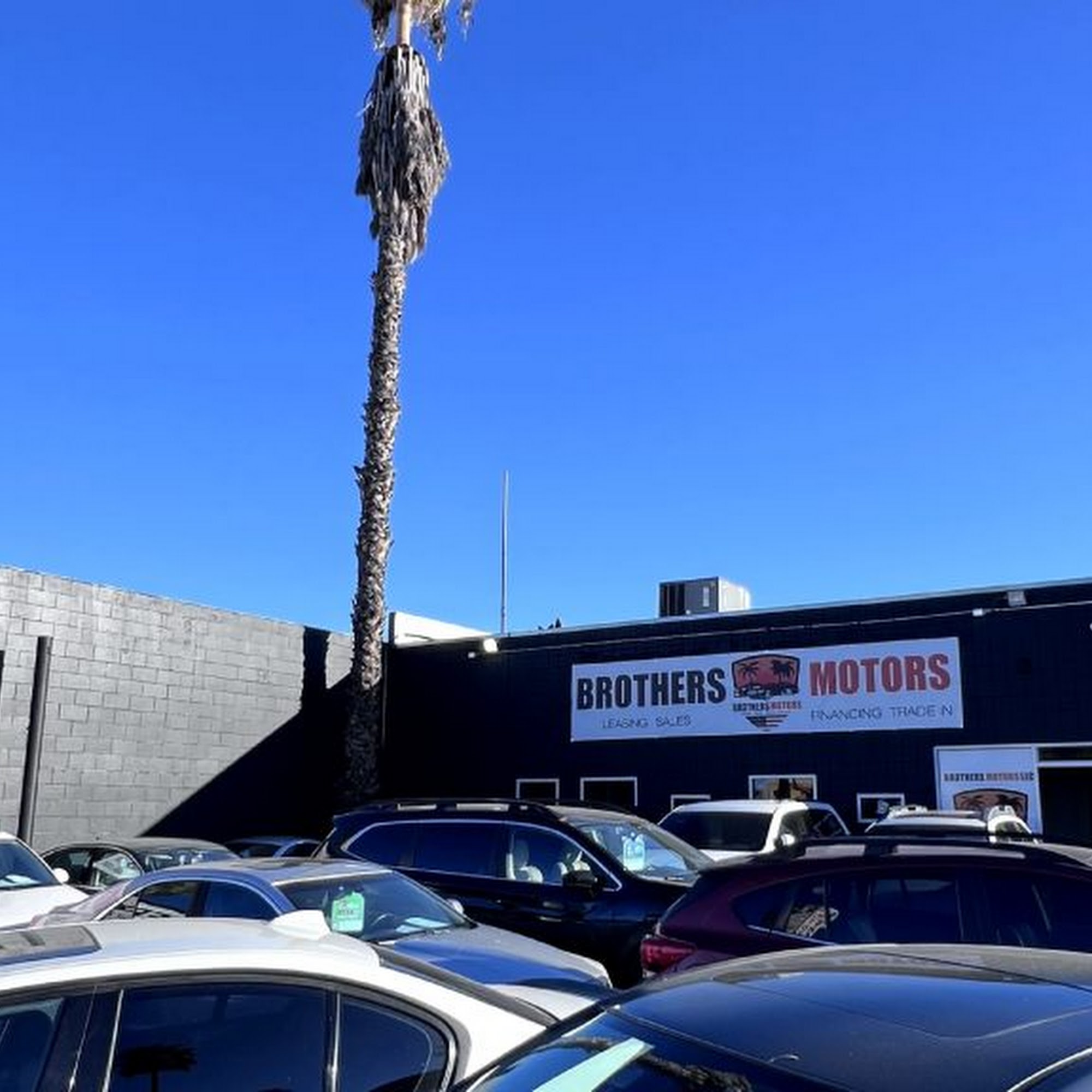 Brothers Motors LLC Van Nuys