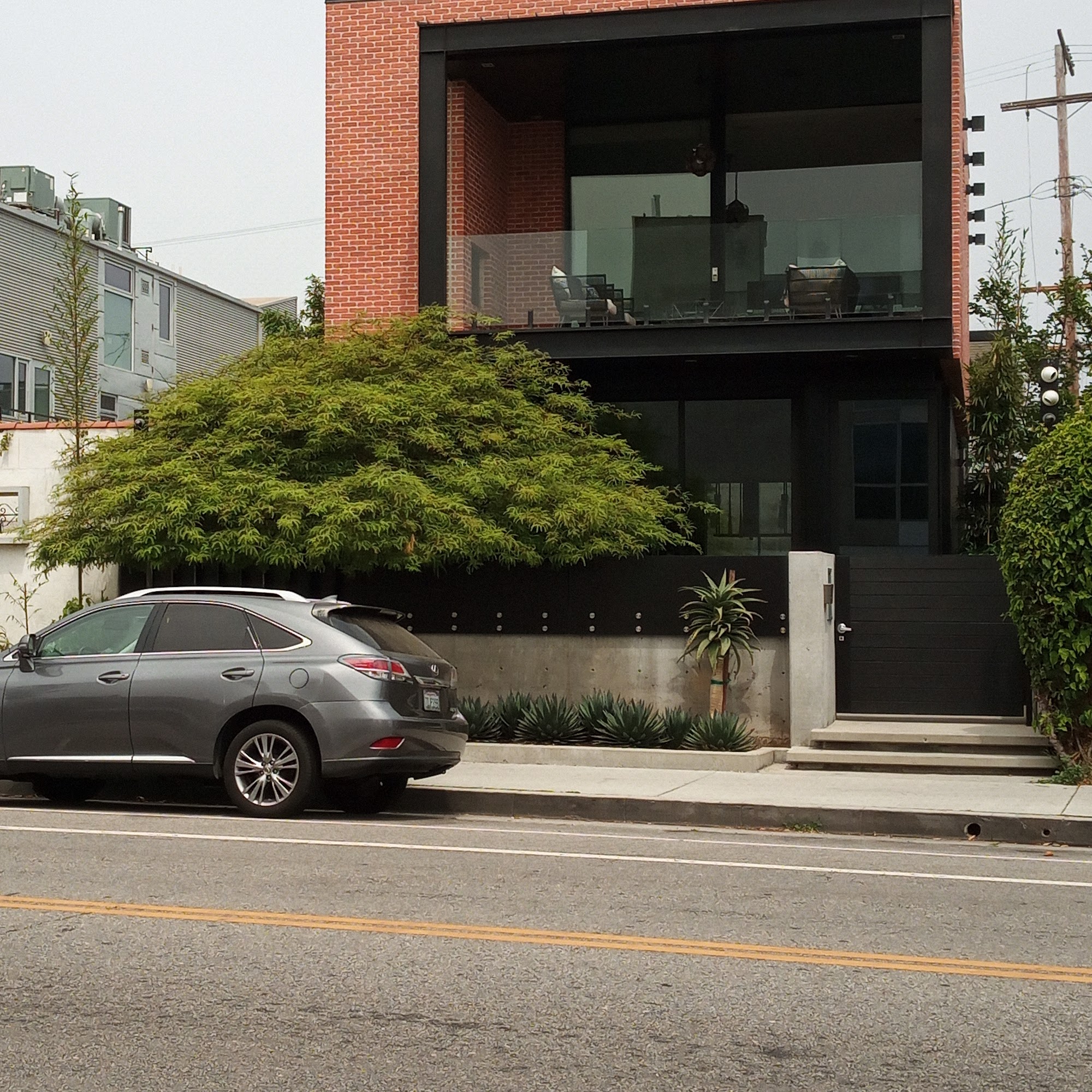 Bread And Roses Cafe Venice