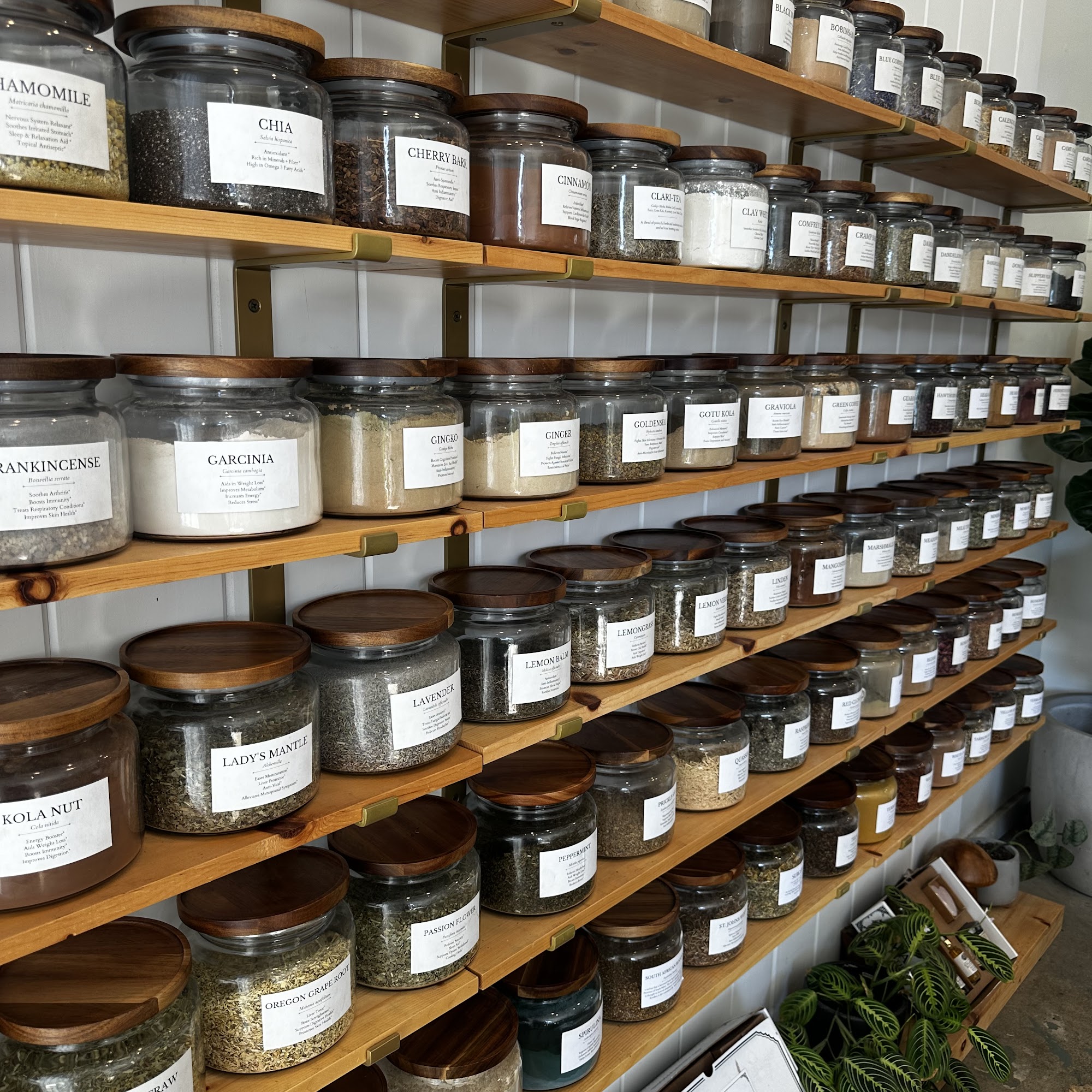 Anima Mundi Apothecary 417 Rose Ave, Venice California 90291