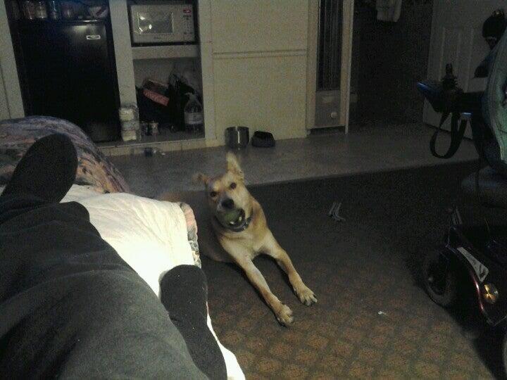 Photo credit: nextdoor