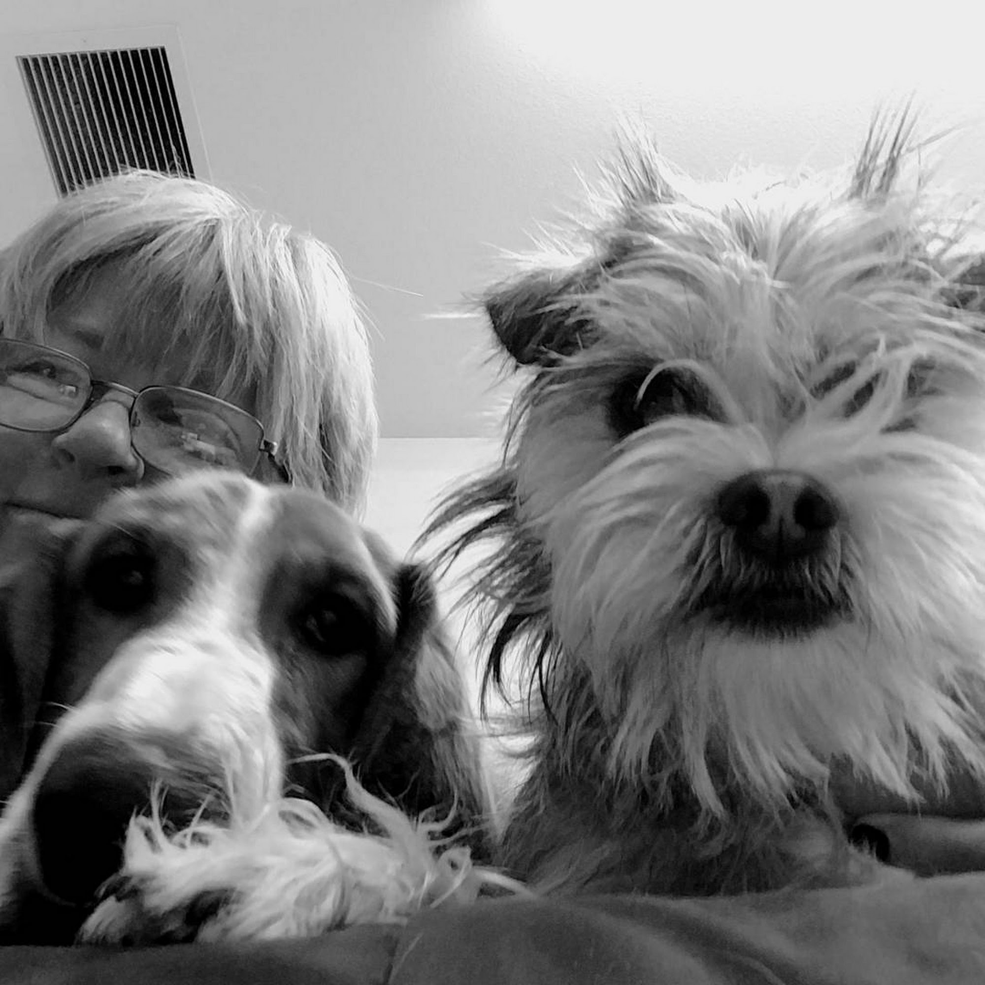 Send Rover On Over Inc Ventura