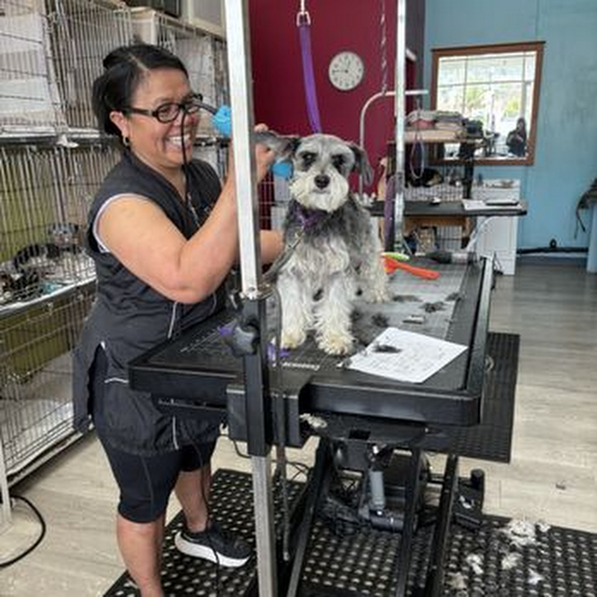 Applause Four Paws Ventura