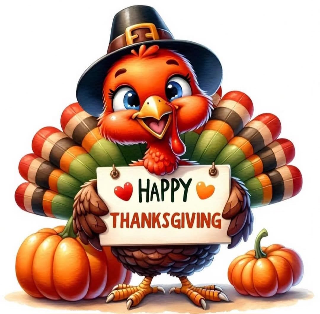 Master Clean Carpet Care