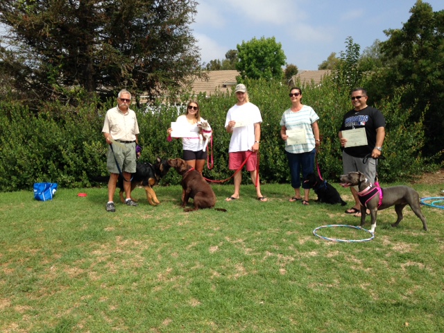 SixPaws Dog Training Ventura