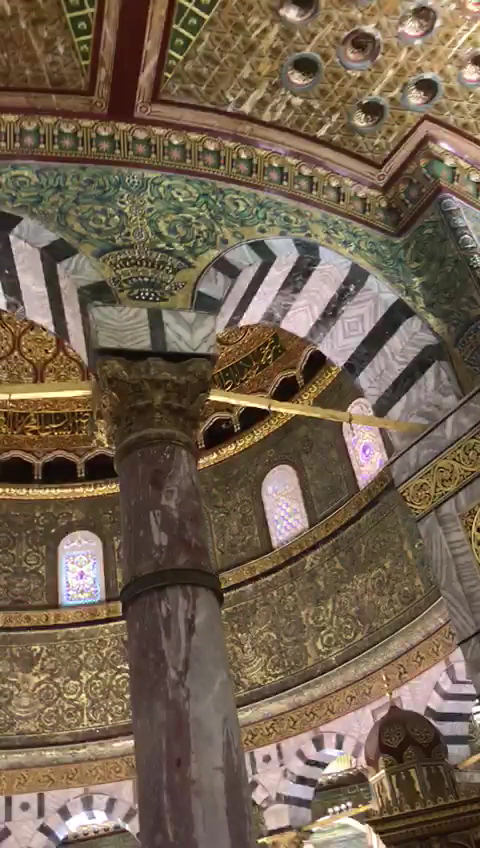 Allergy-Asthma Group Inc