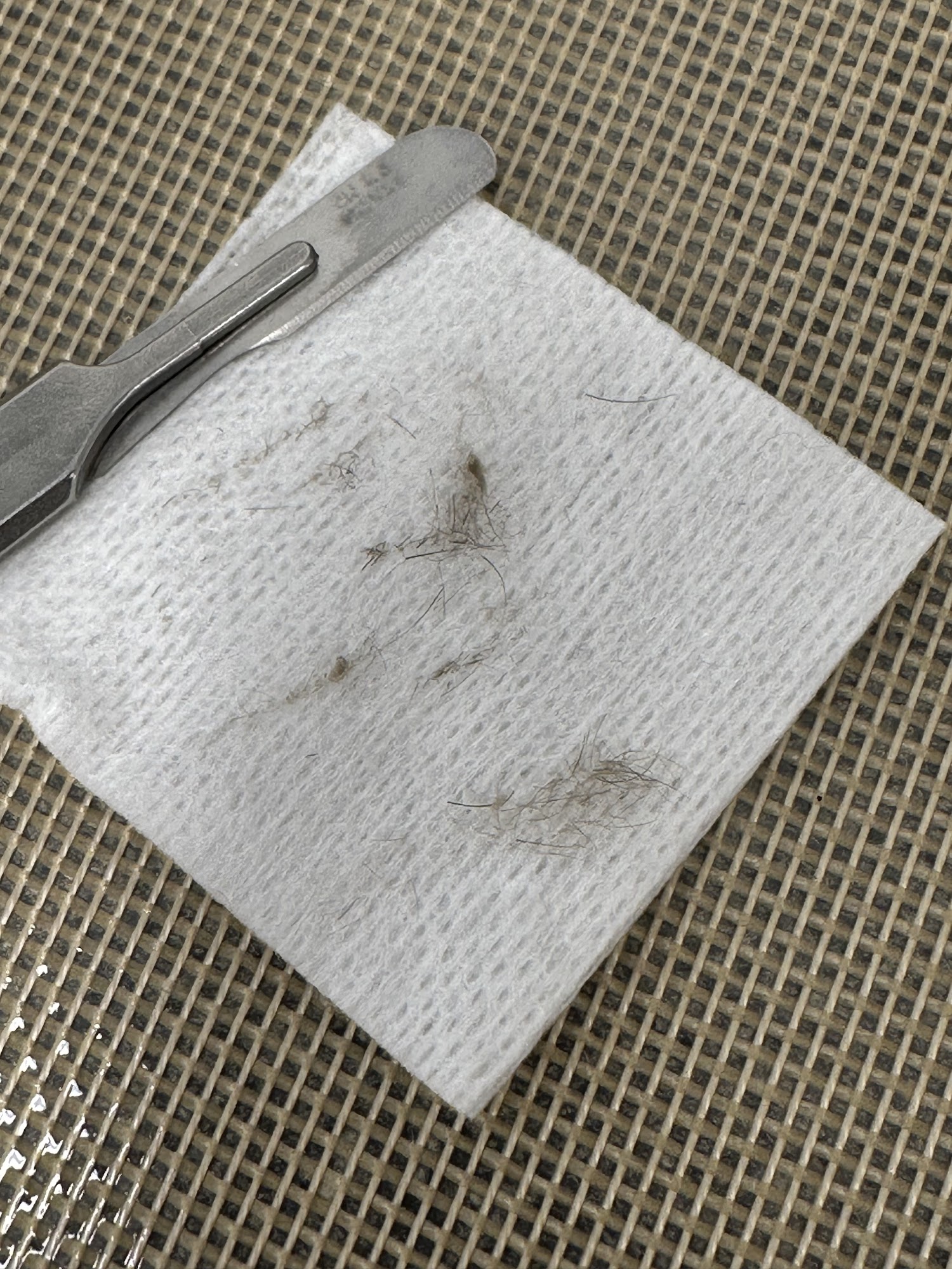 Precious Bodies Studio