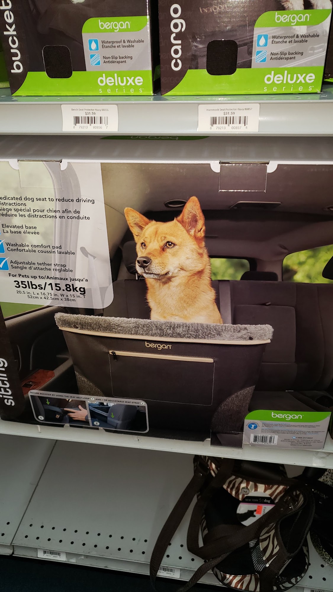 Cactus Feed and Supply, Inc. Victorville