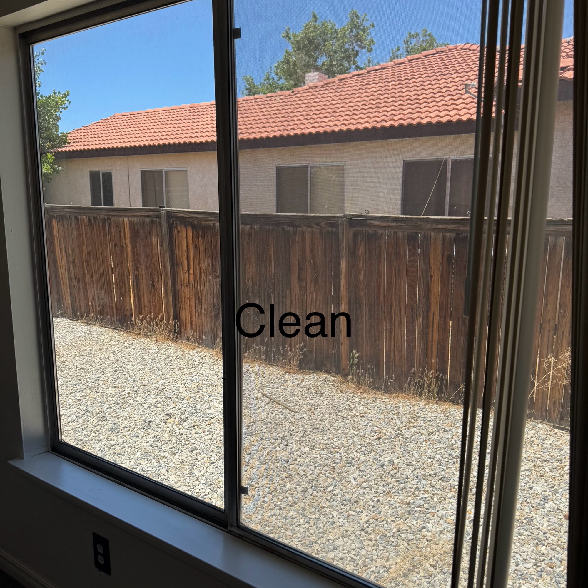 Leo's house cleaning