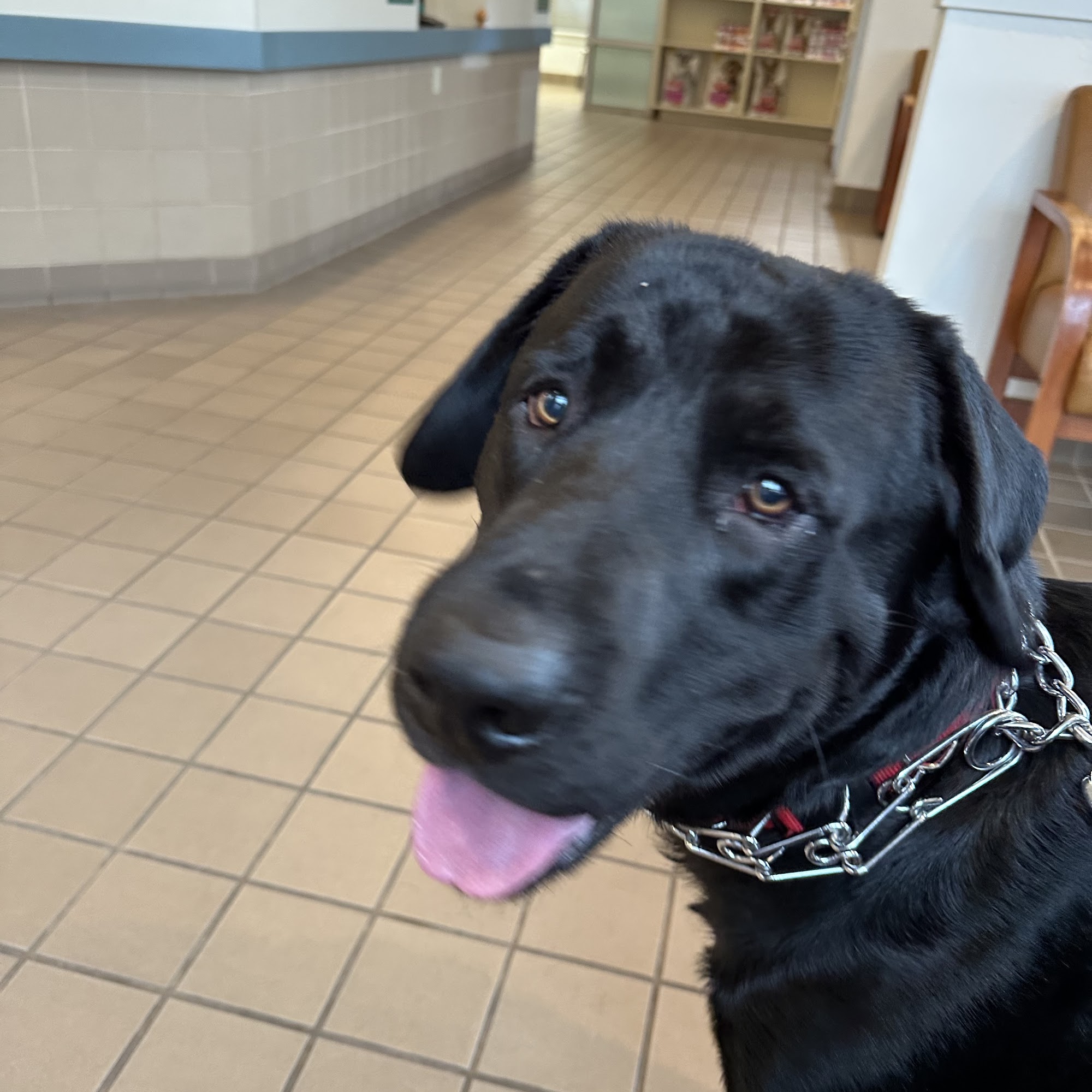 Care At the Courtyard Visalia