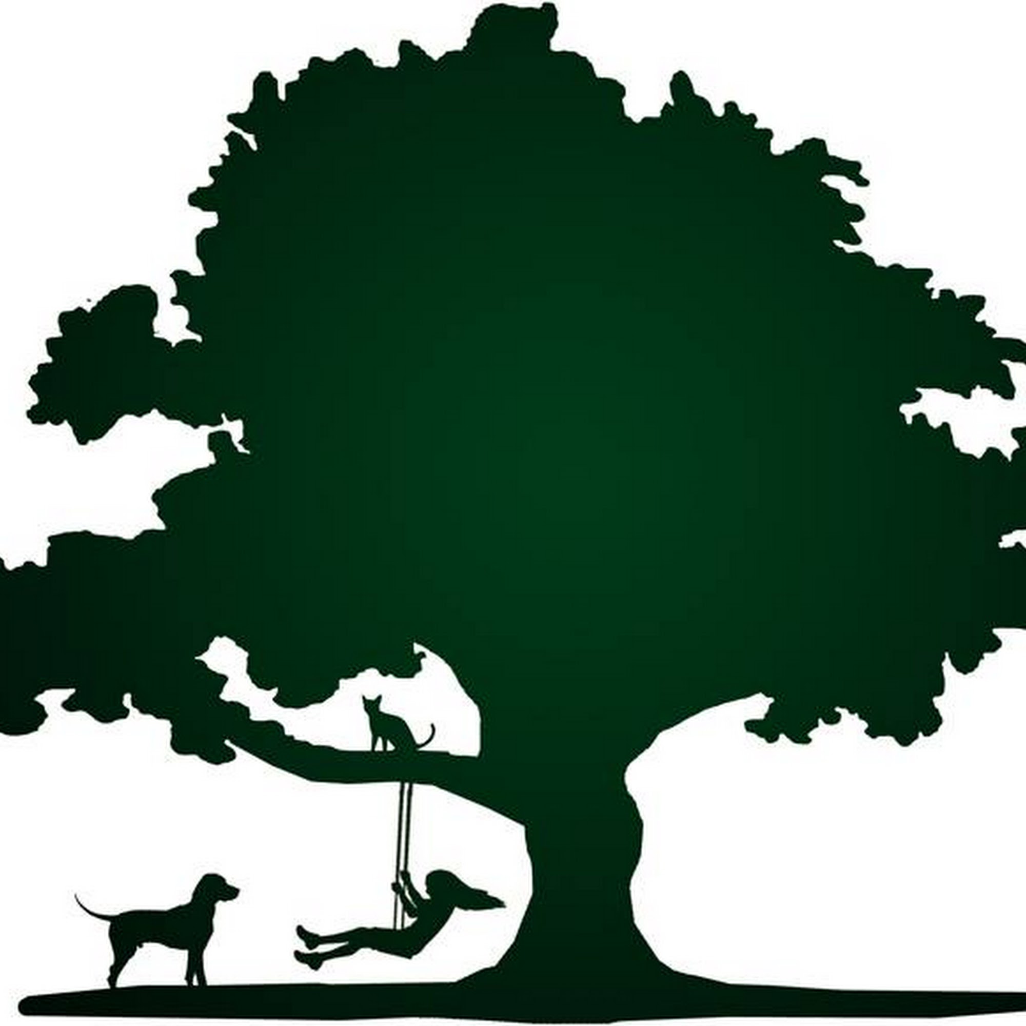 Lone Oak Veterinary Clinic Visalia