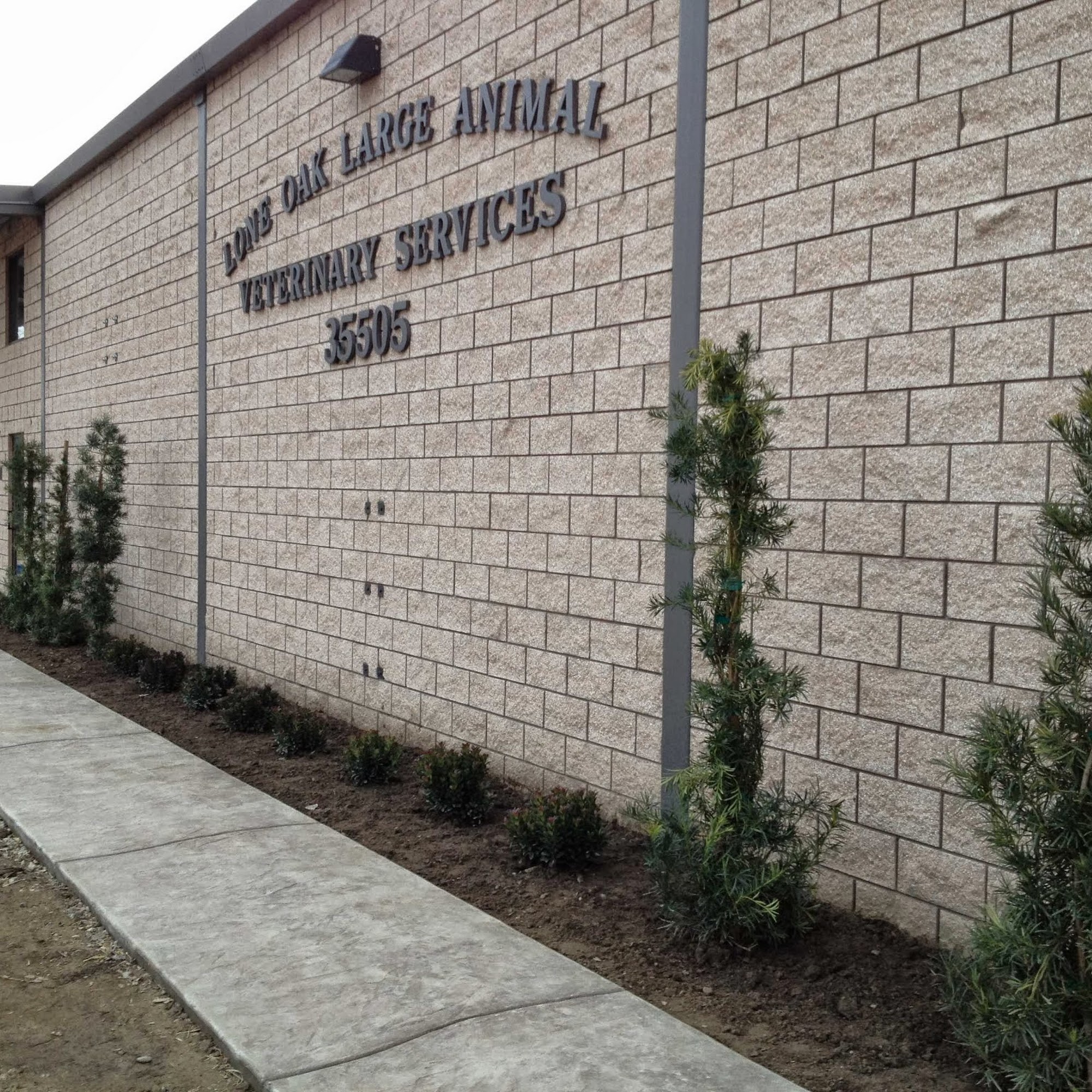 Lone Oak Large Animal Vet Services Visalia