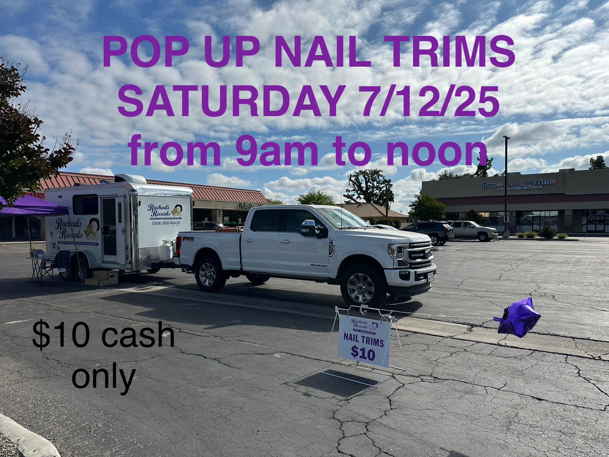 Dog Grooming by Racheal's Rascals Visalia