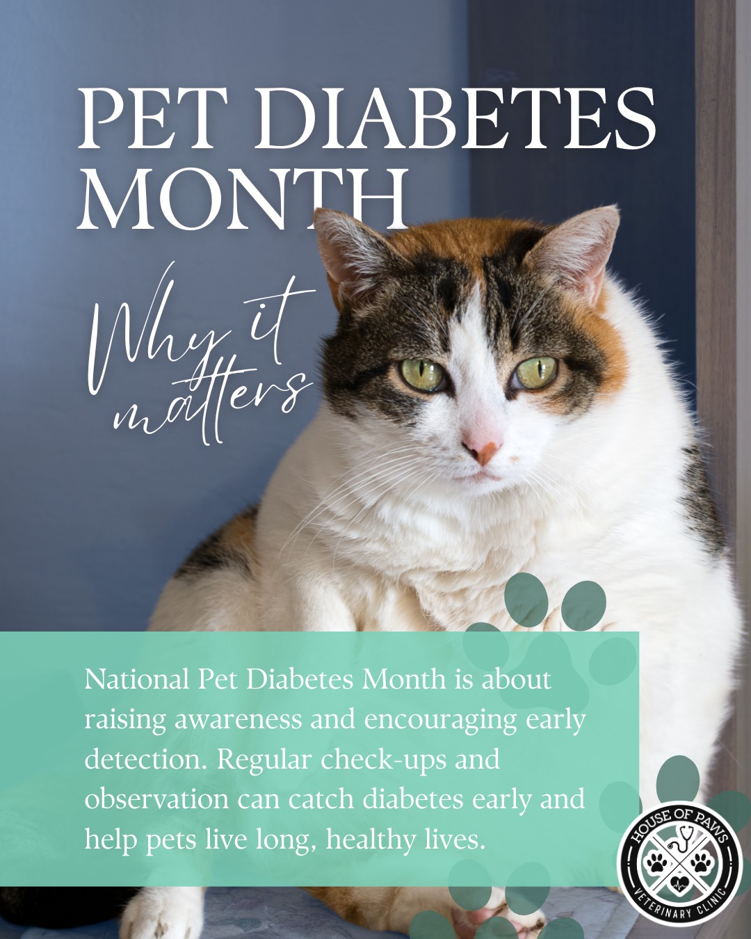 House of Paws Veterinary Clinic Visalia