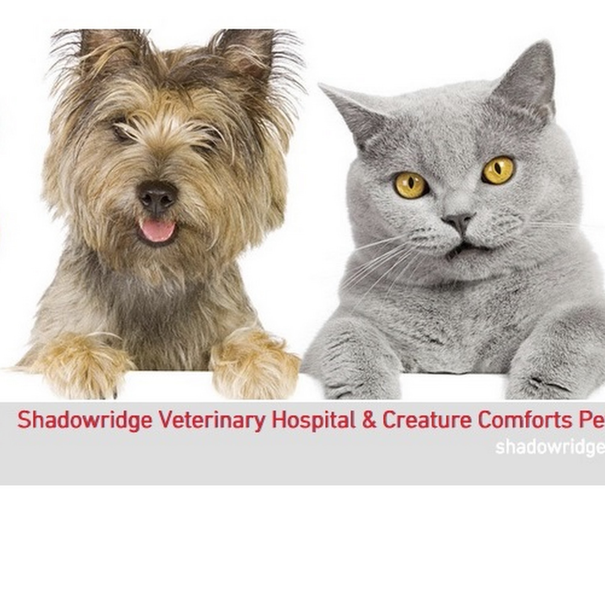 Shadowridge Veterinary Hospital & Creature Comforts Pet Hotel in Vista Vista