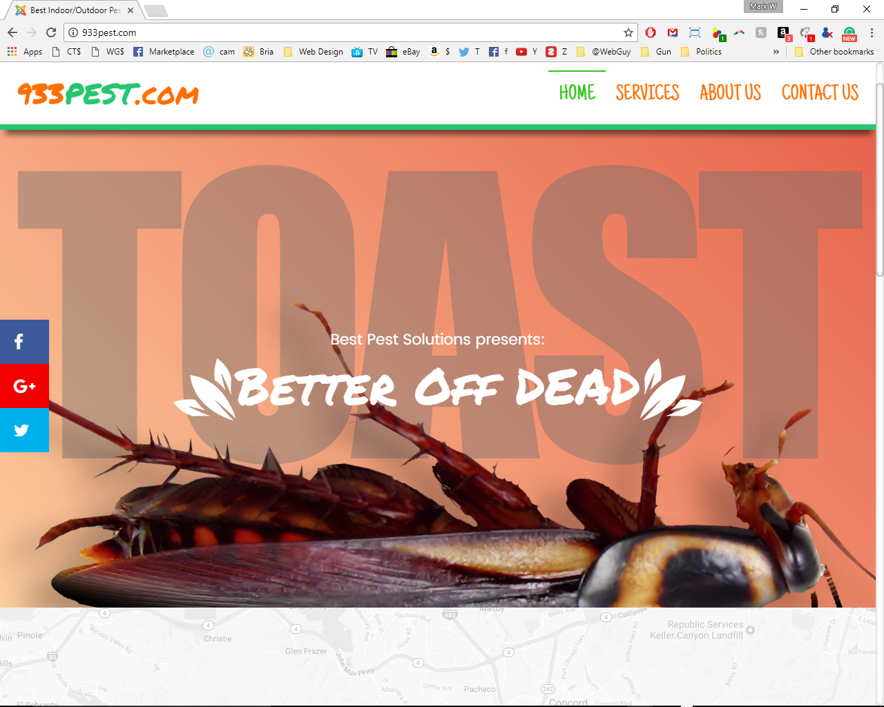 Best Indoor/Outdoor Pest Solutions