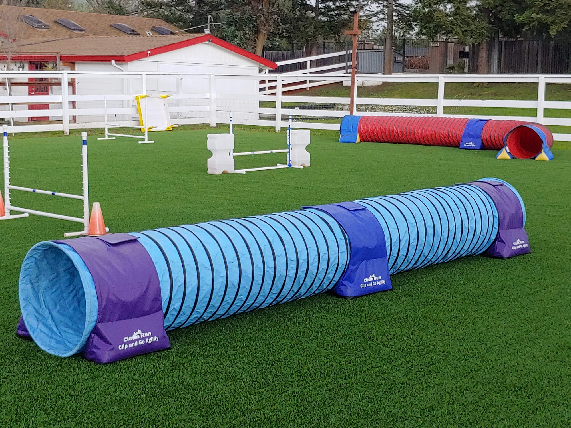 Star K9 Agility and Training Walnut Creek