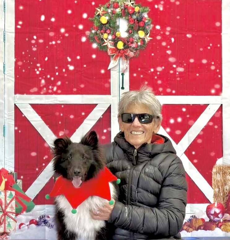 Star K9 Agility and Training Walnut Creek