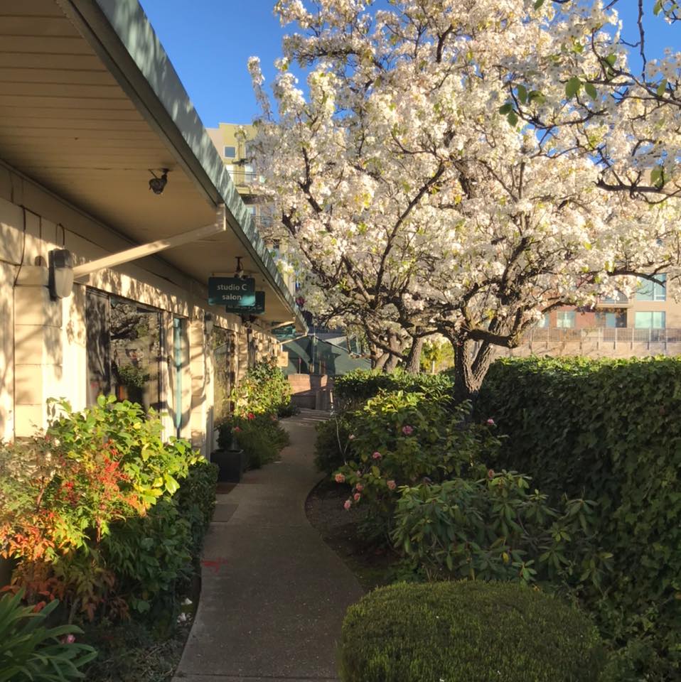 Taylor Cody Salon 1430 Arroyo Way, Walnut Creek California 94596