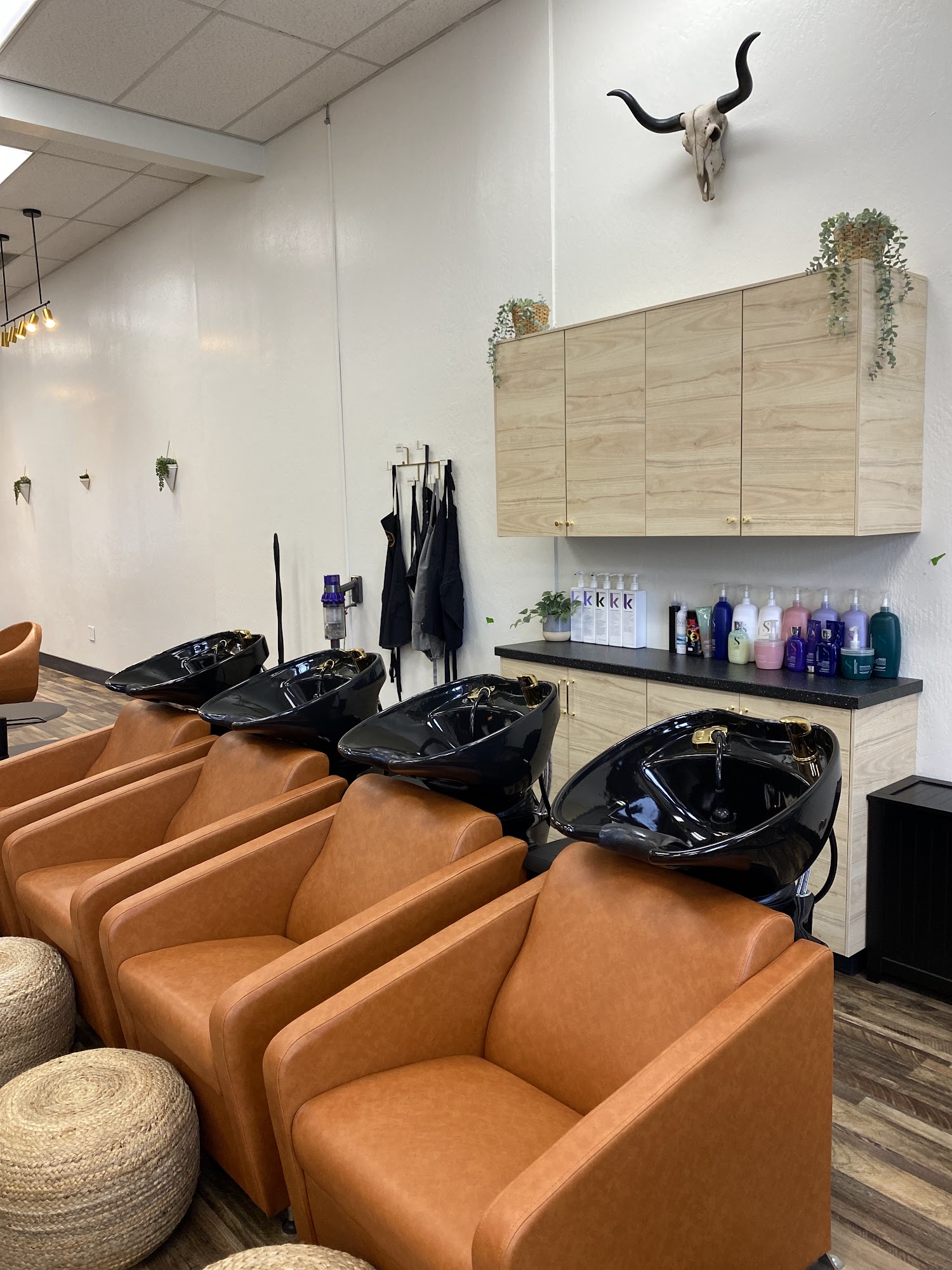 Painted Mane 1768 N Broadway, Walnut Creek California 94596