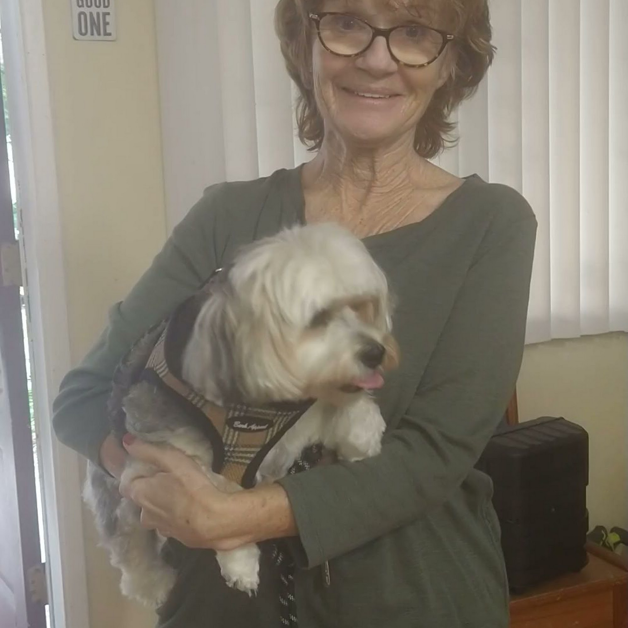 Sassy Fur By Design Pro Pet Watsonville