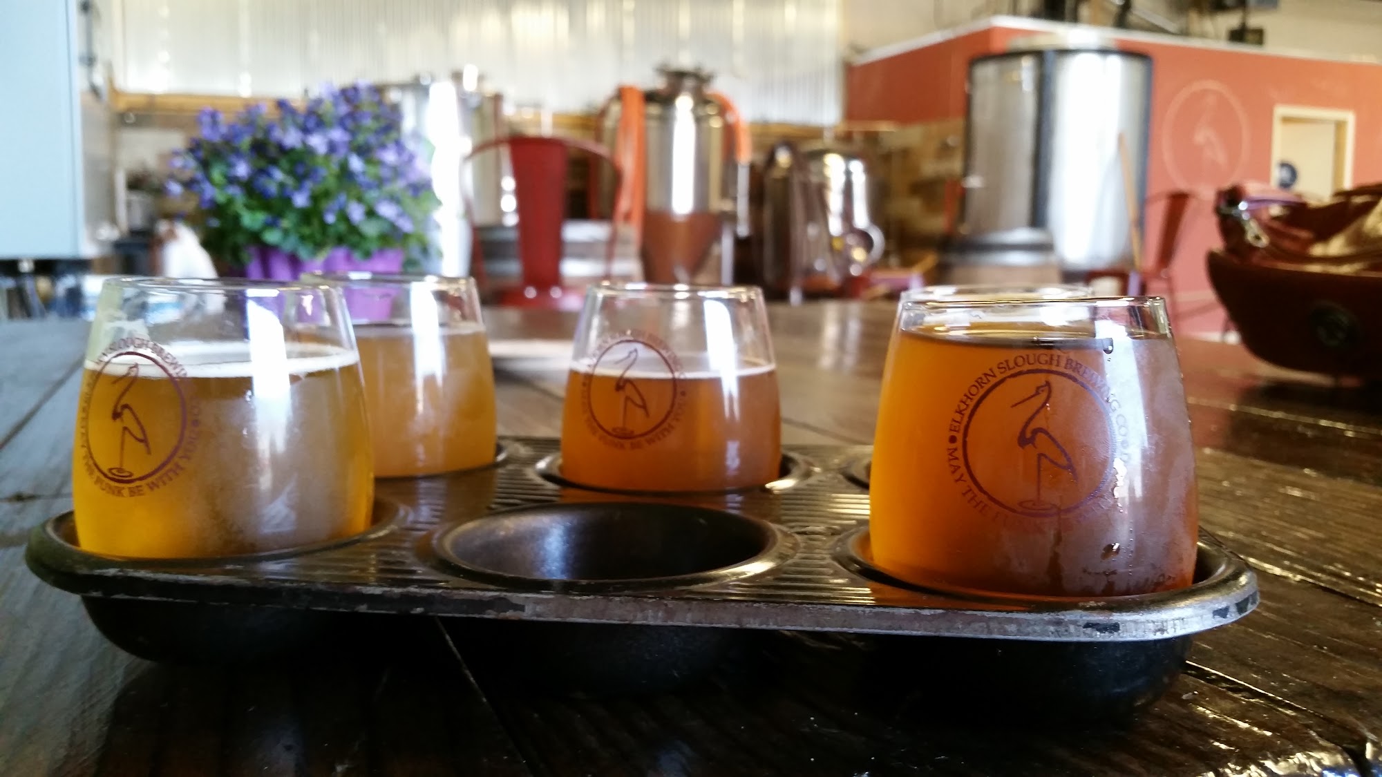 Buena Vista Brewing Co. Watsonville