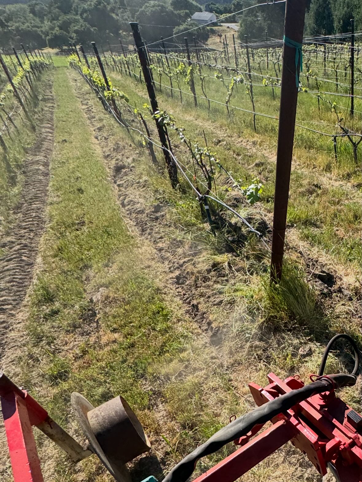 Anatum Winery Watsonville