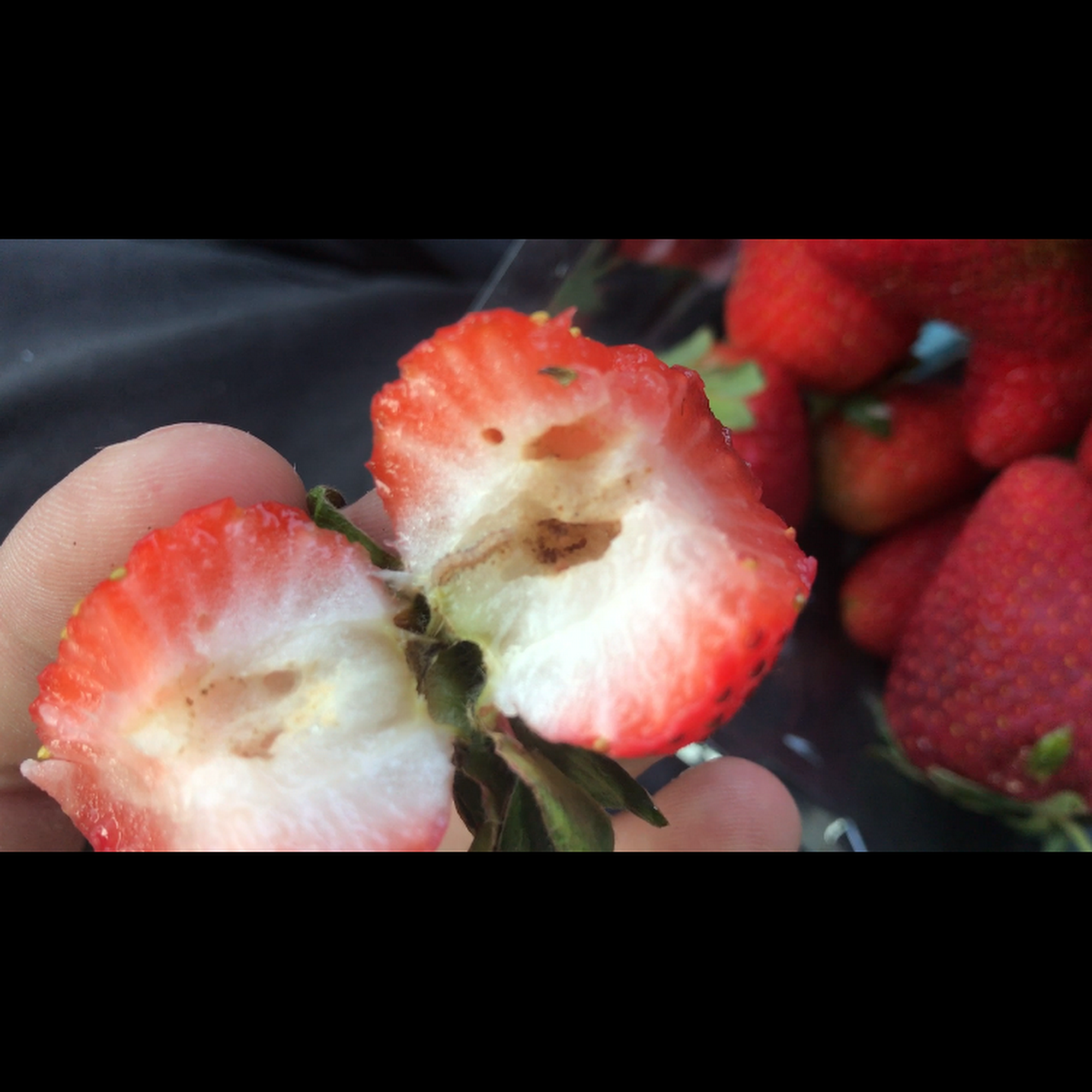 Beach Street Farms Watsonville