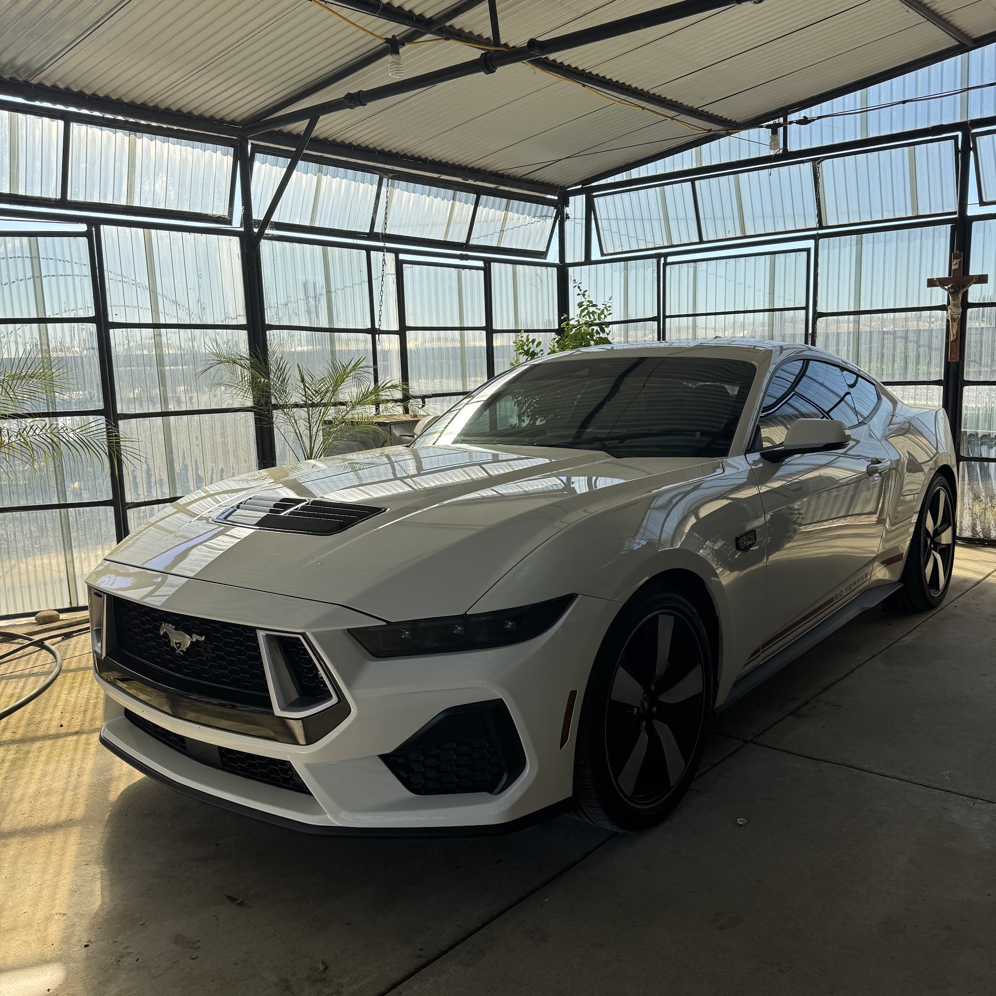 Elevated Auto Detail