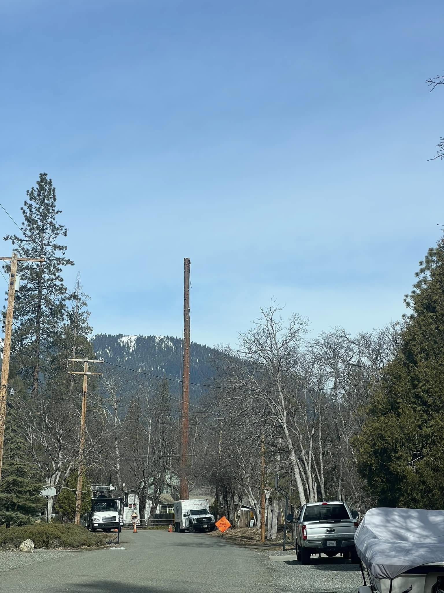 Watkins Tree Services