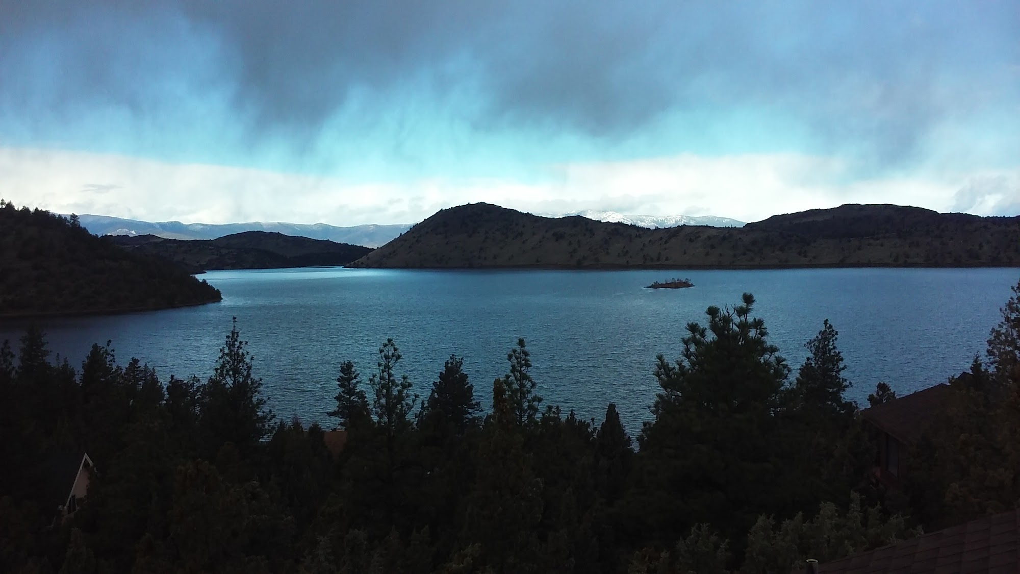 Lake Shastina Golf Resort Weed