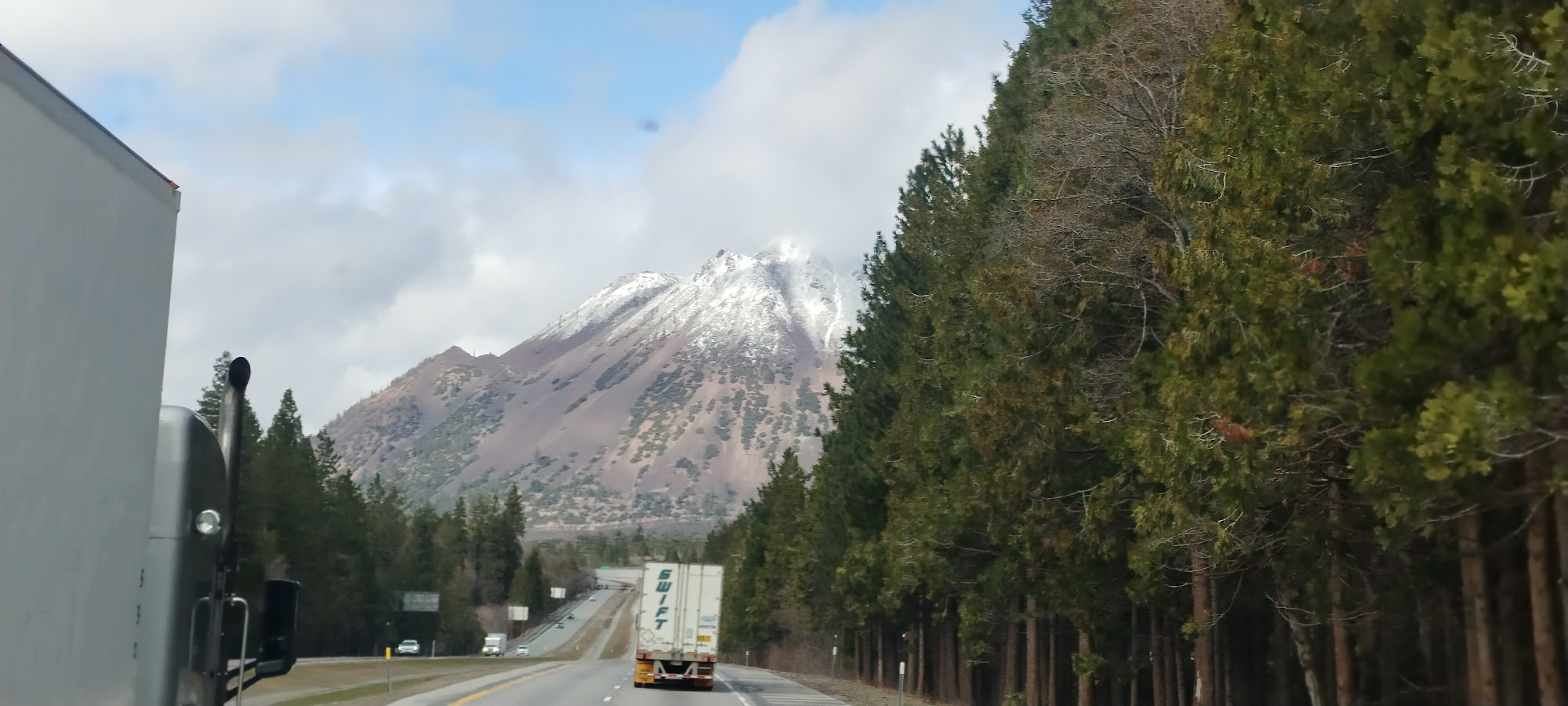 Mountain Espresso Weed