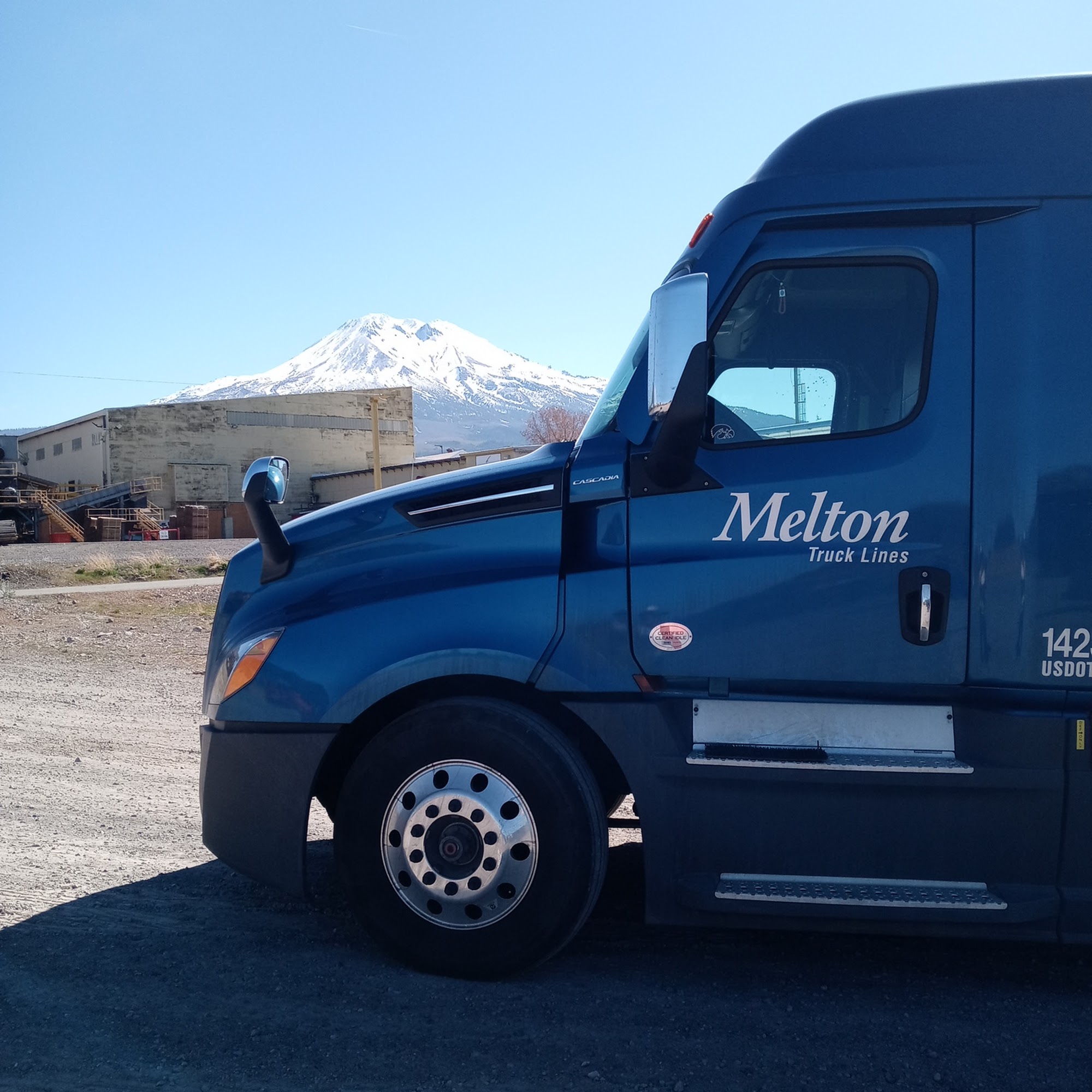 Roseburg Forest Products Weed