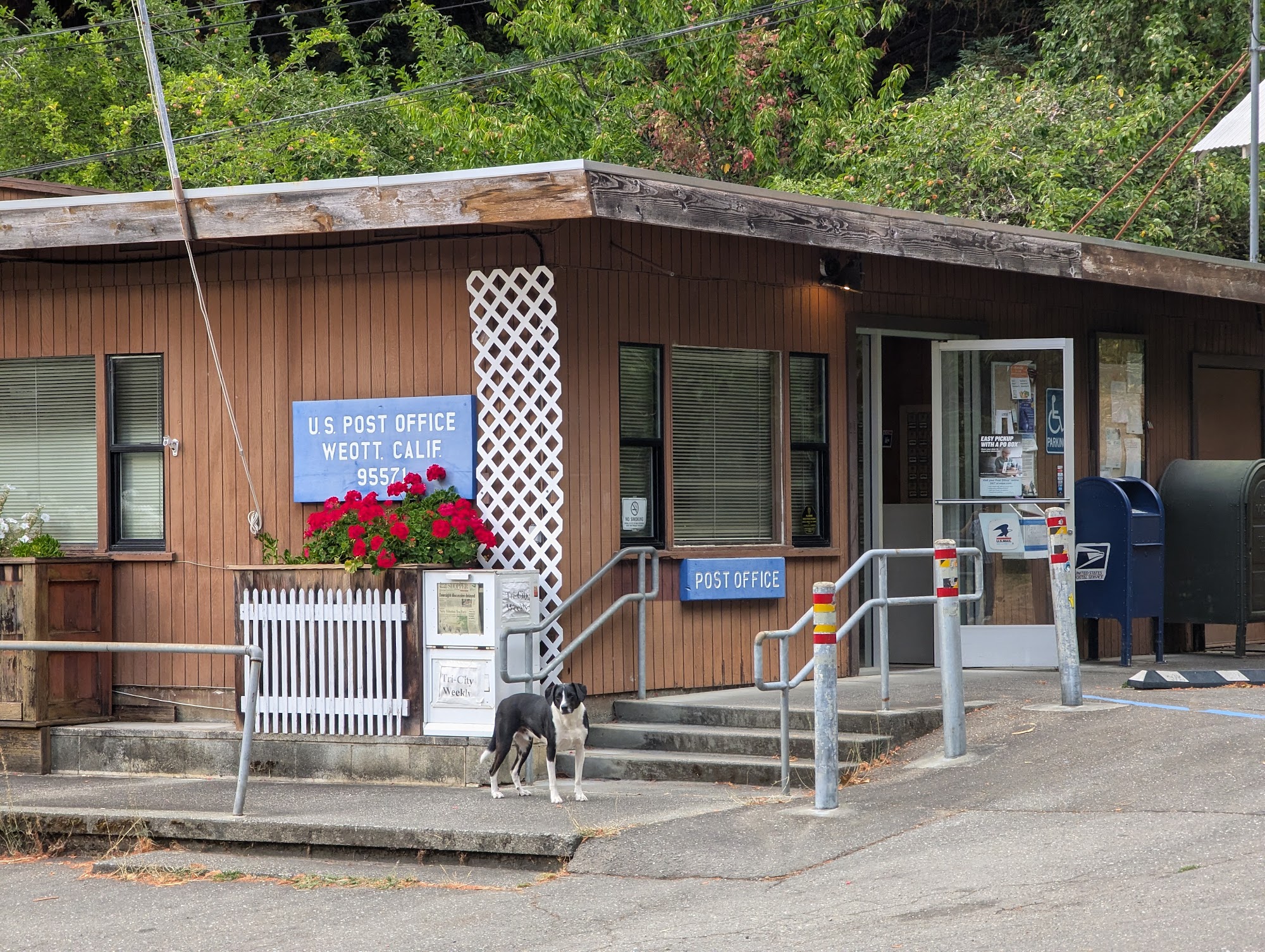 United States Postal Service Weott